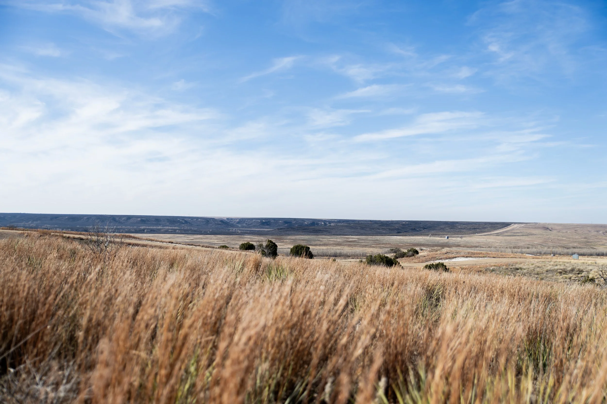 Suzanne Bellsnyder PT 3.jpg