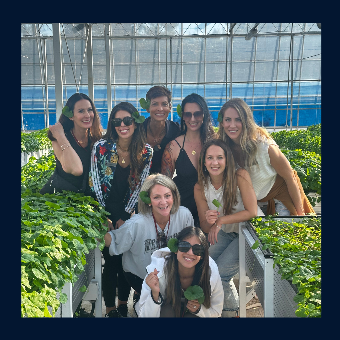 Community Images Website.png