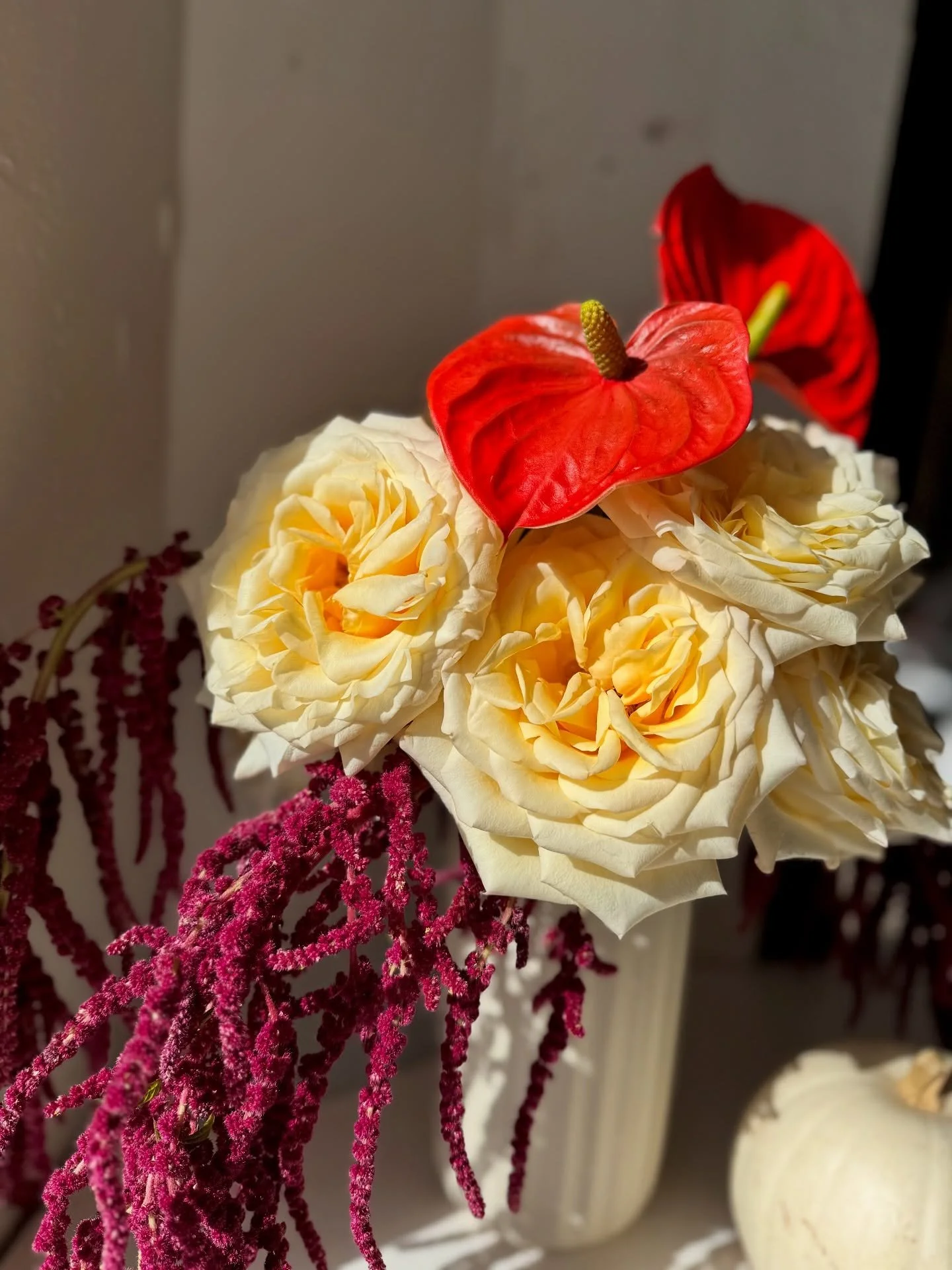 These blooms turned golden when the sun peeked through a cloudy, rainy day ☀️🌧️✨ A soft mix of yellow garden roses, bold red anthuriums, and cascading amaranths. glowing with warmth even in the rain.
#WonderBloomsAZ #ArizonaFlorist #ScottsdaleFlori