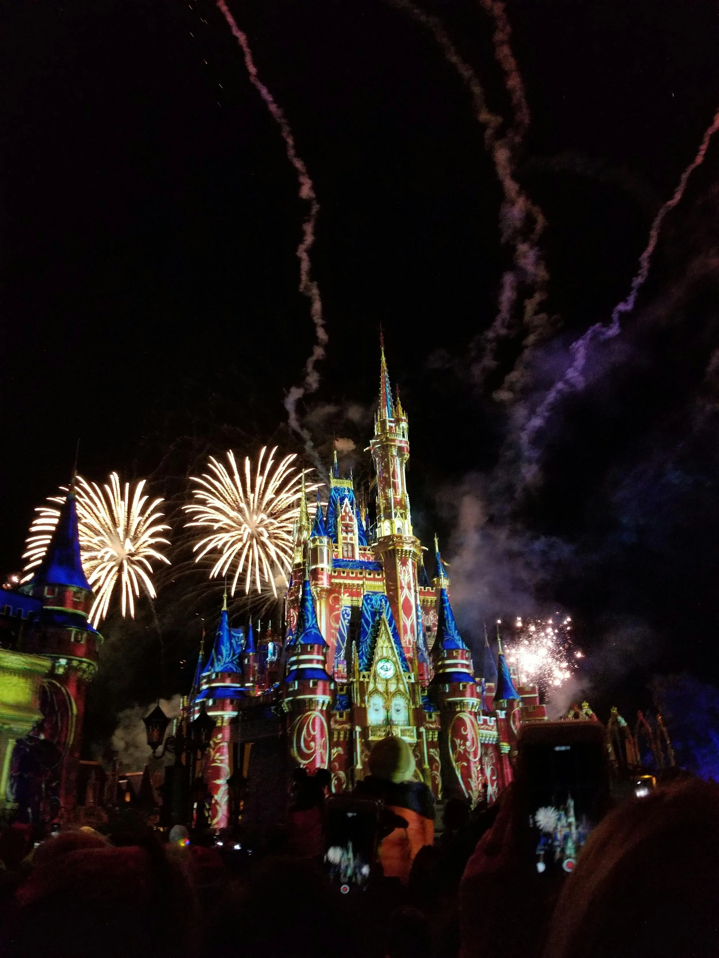 Disneyland 70th Anniversary