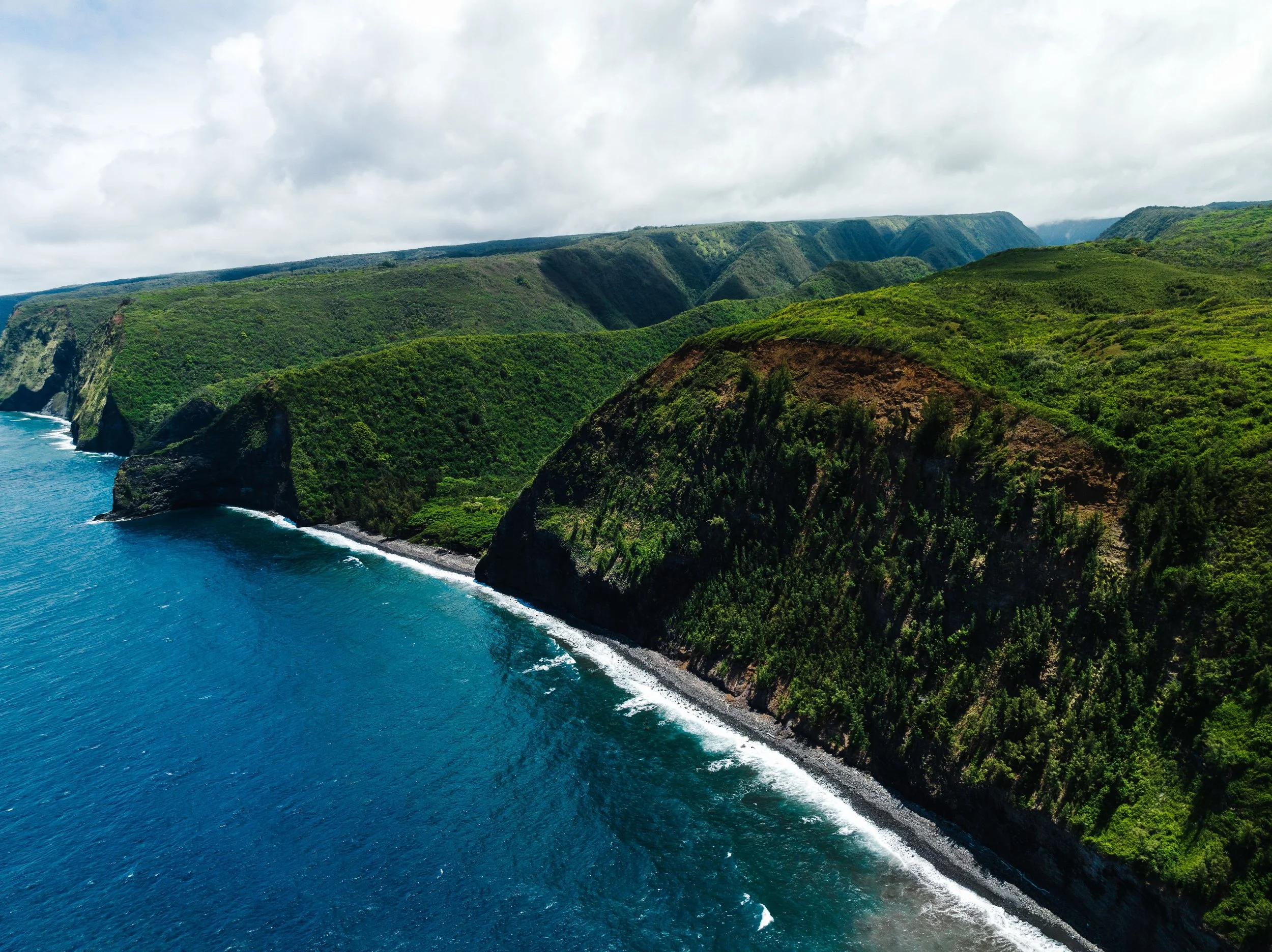 Take off to Hawaii…