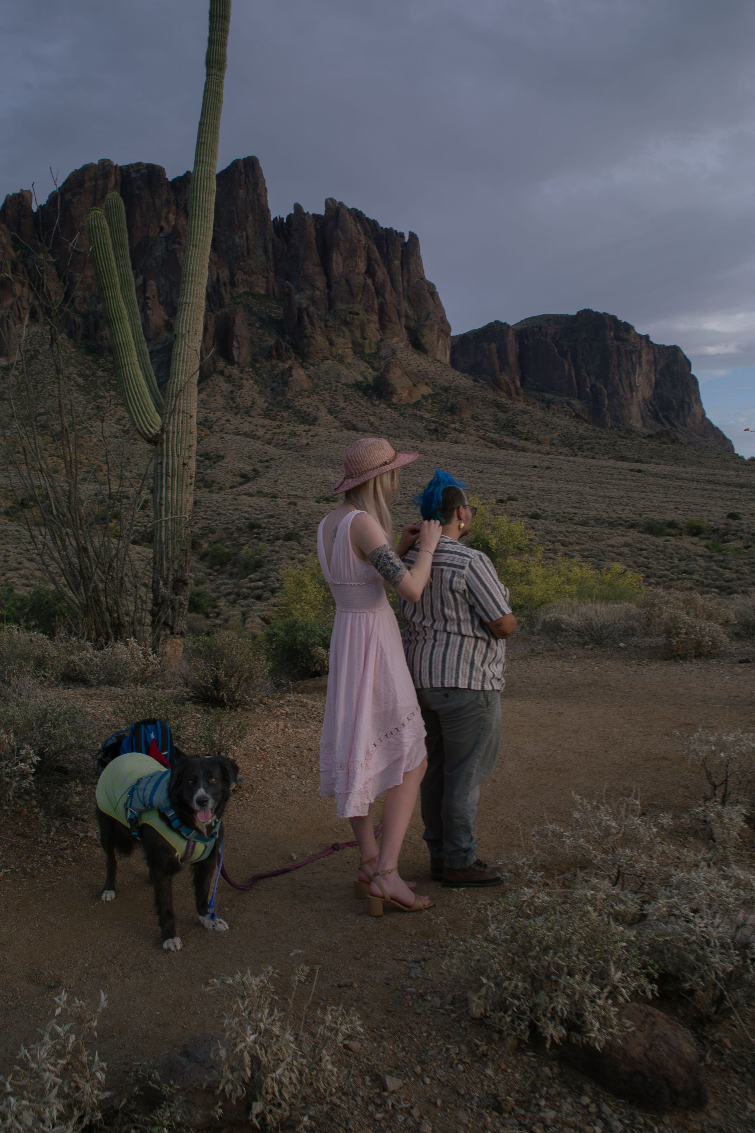 Apache Junction Proposal - S+ O-51.jpg