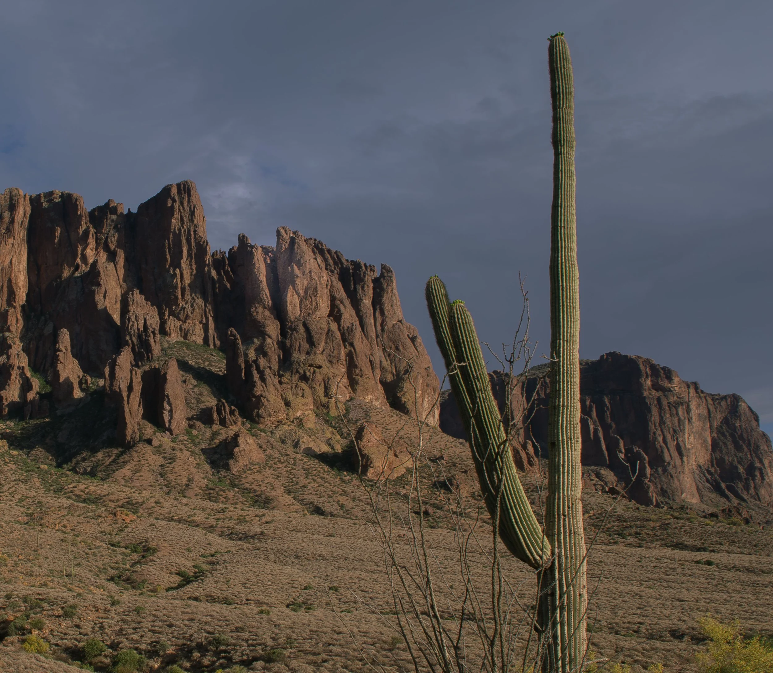 Apache Junction Proposal - S+ O-47.jpg