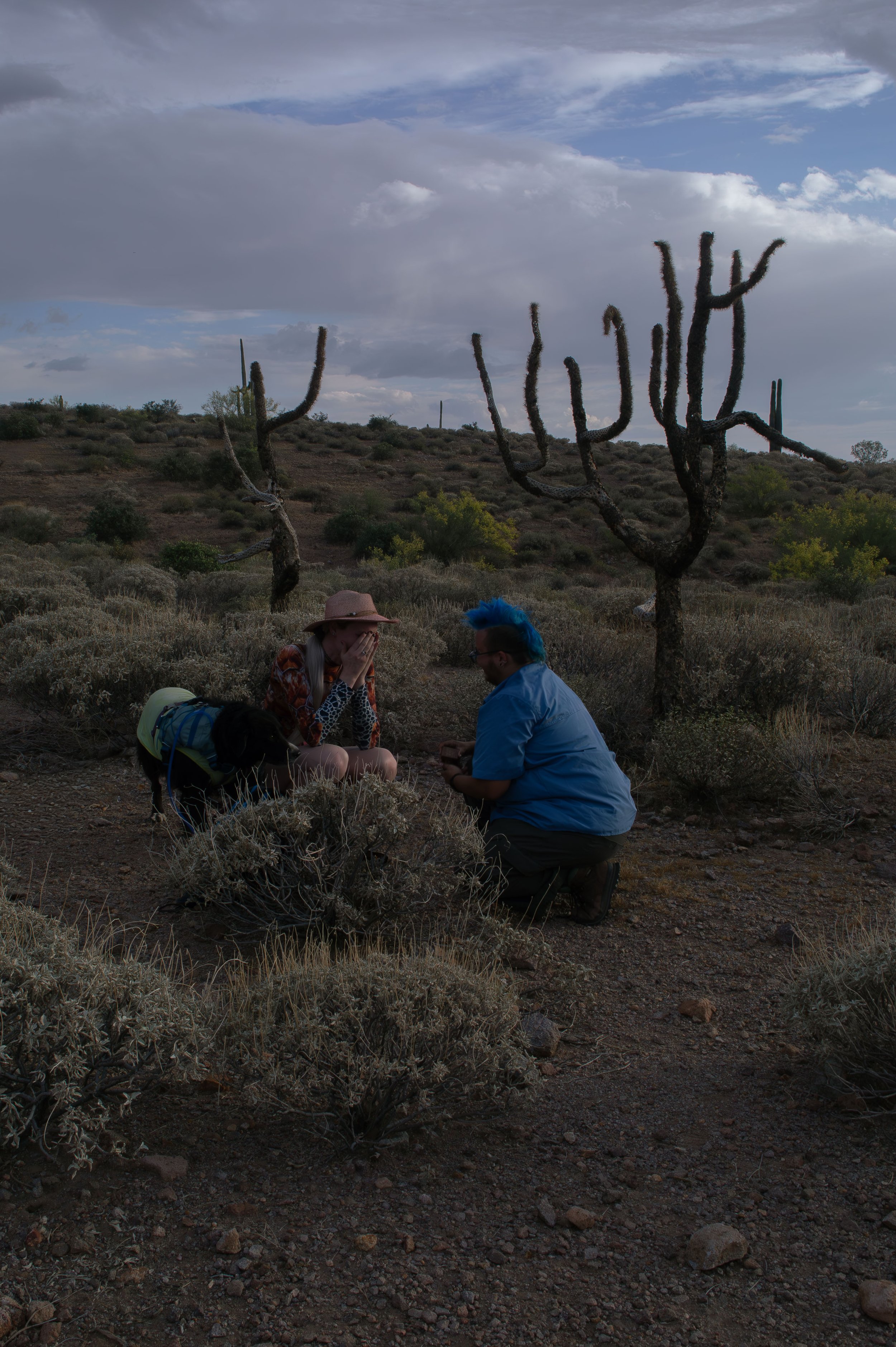 Apache Junction Proposal - S+ O-23.jpg