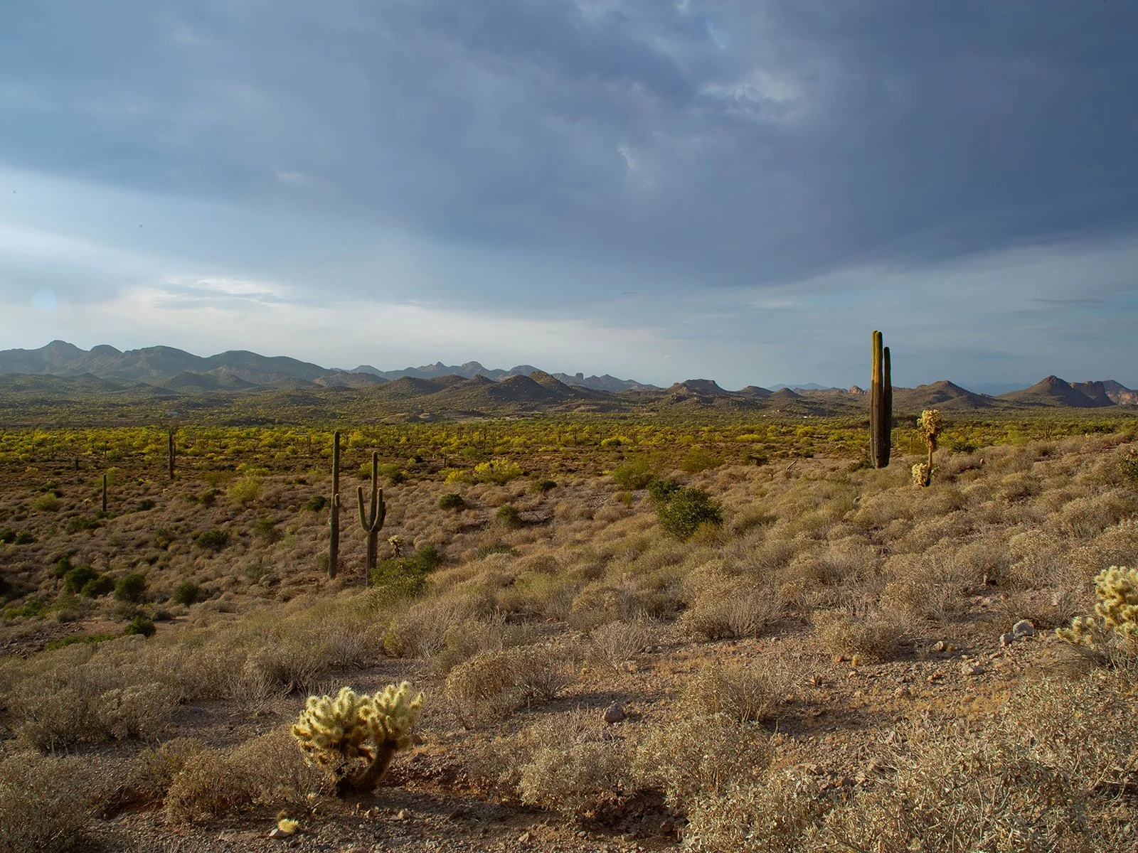 Lost Dutchman Proposal Photography-46.jpg