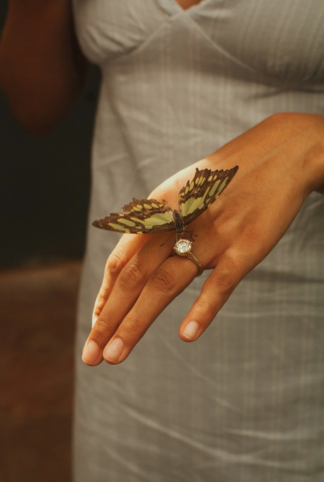 Engagement Butterflies-059.jpg