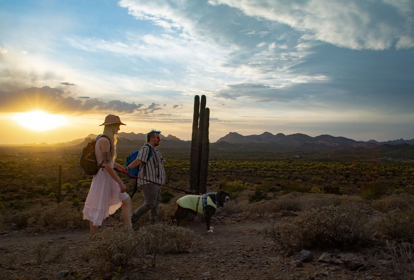 Arizona Proposal at Lost Dutchman State Park