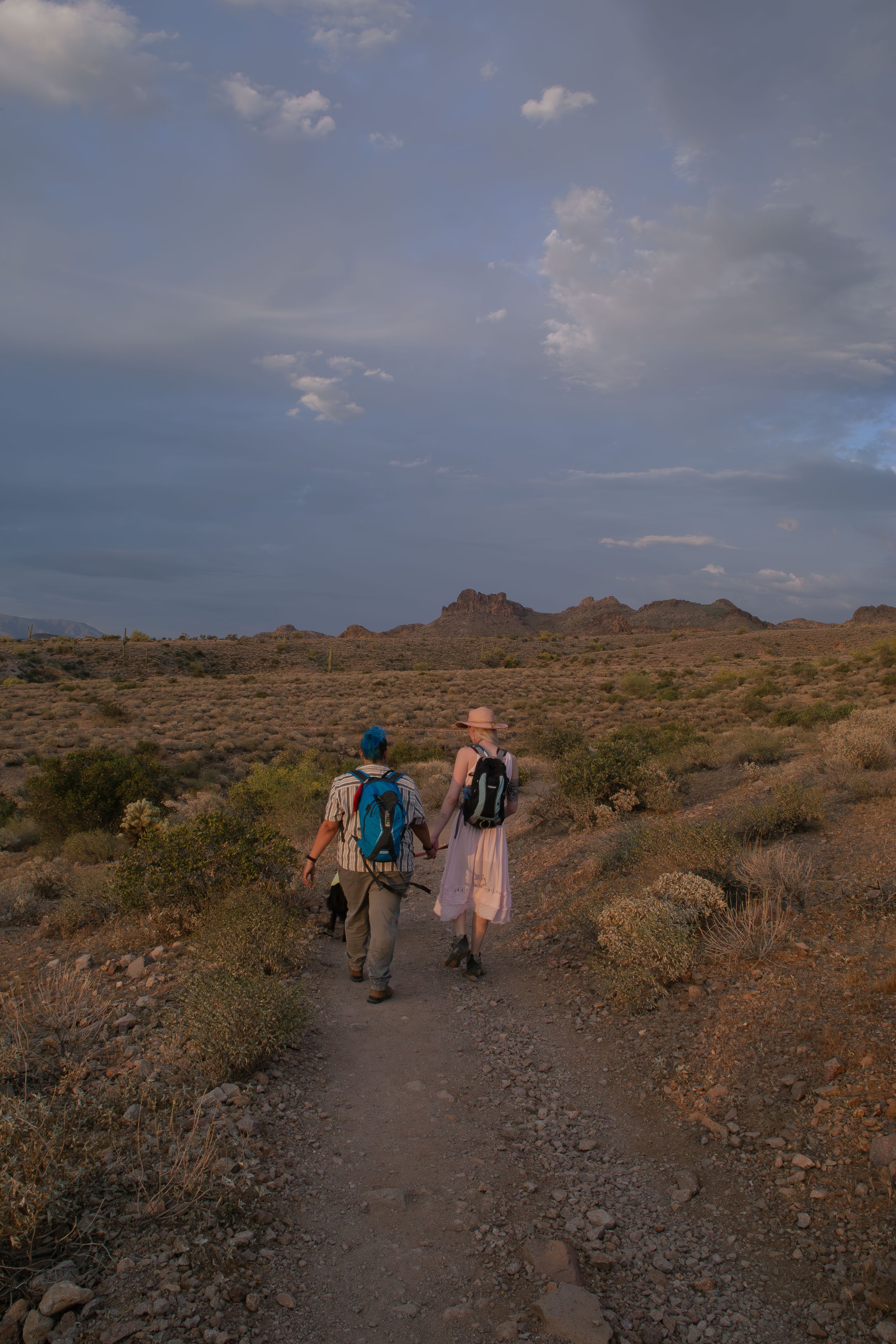 Apache Junction Proposal - S+ O-126.jpg