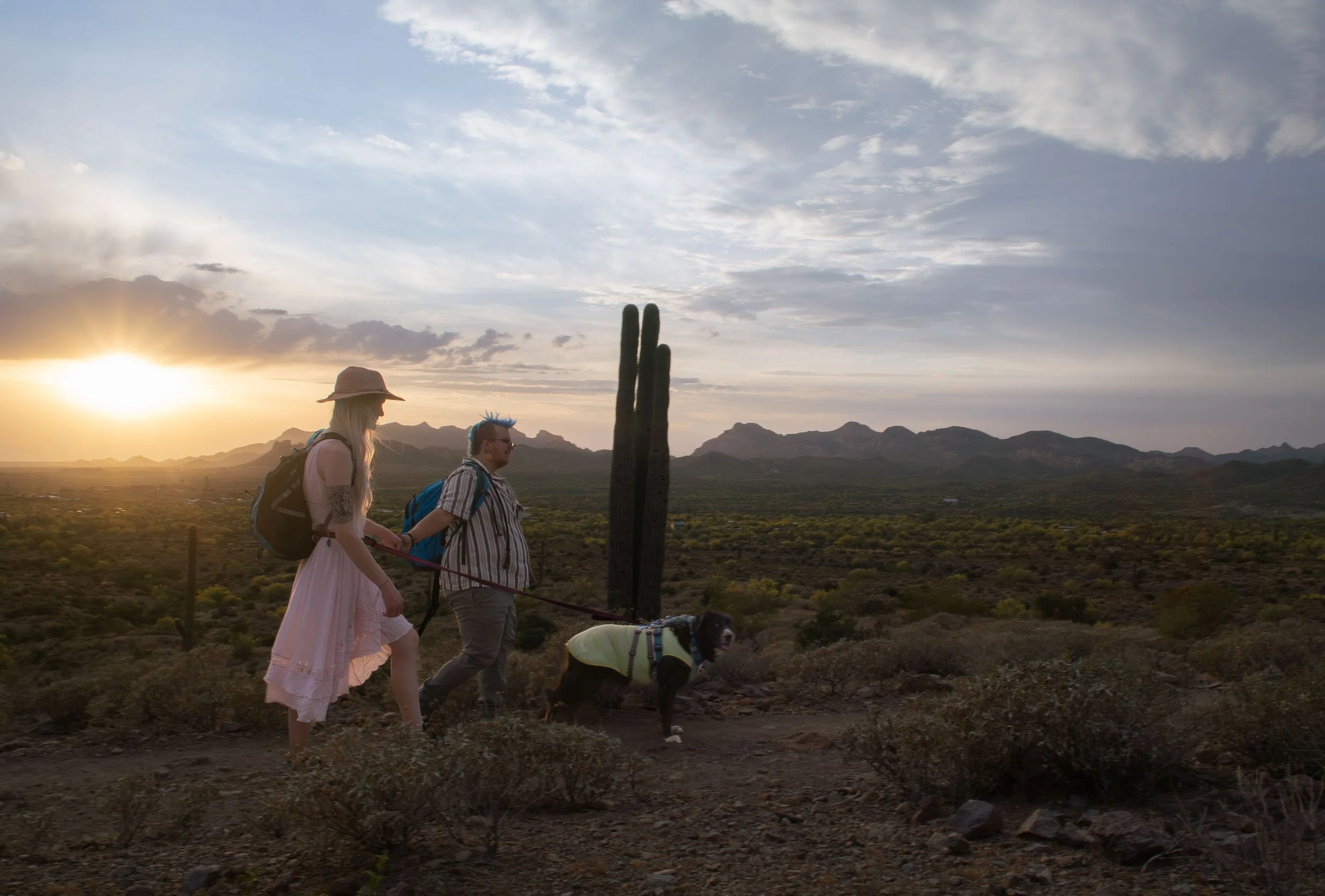 Apache Junction Proposal - S+ O-123.jpg