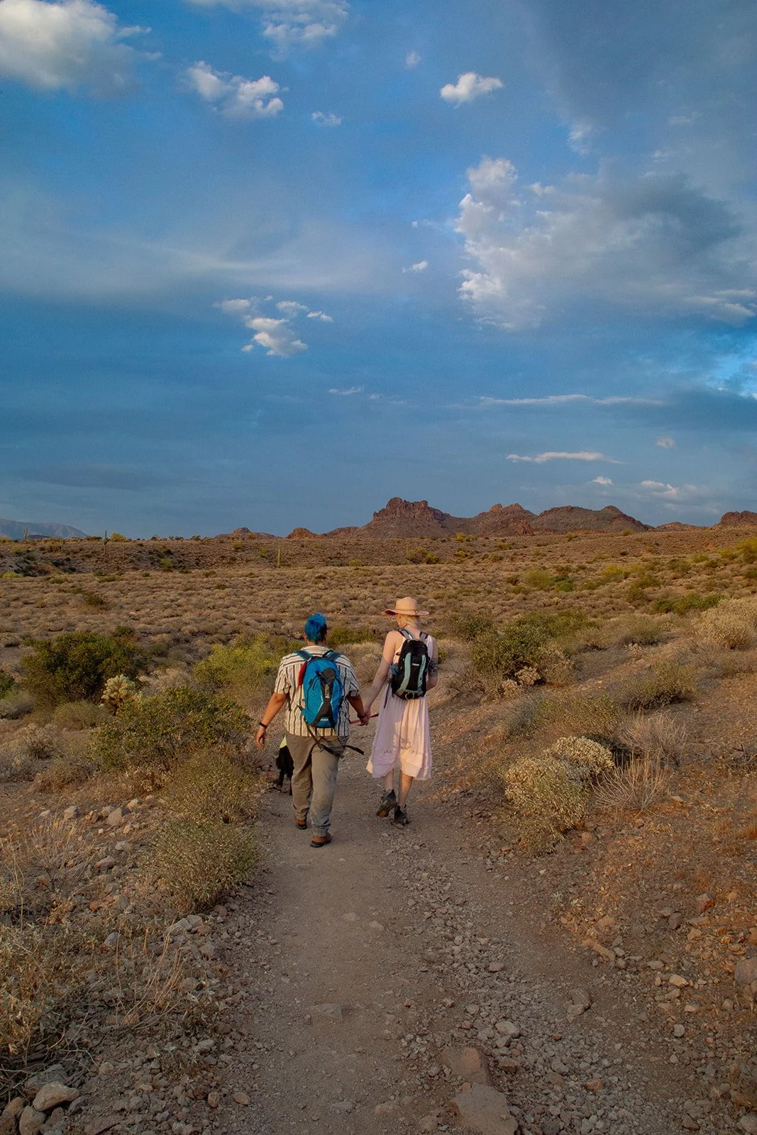 Lost Dutchman Proposal Photography-119.jpg