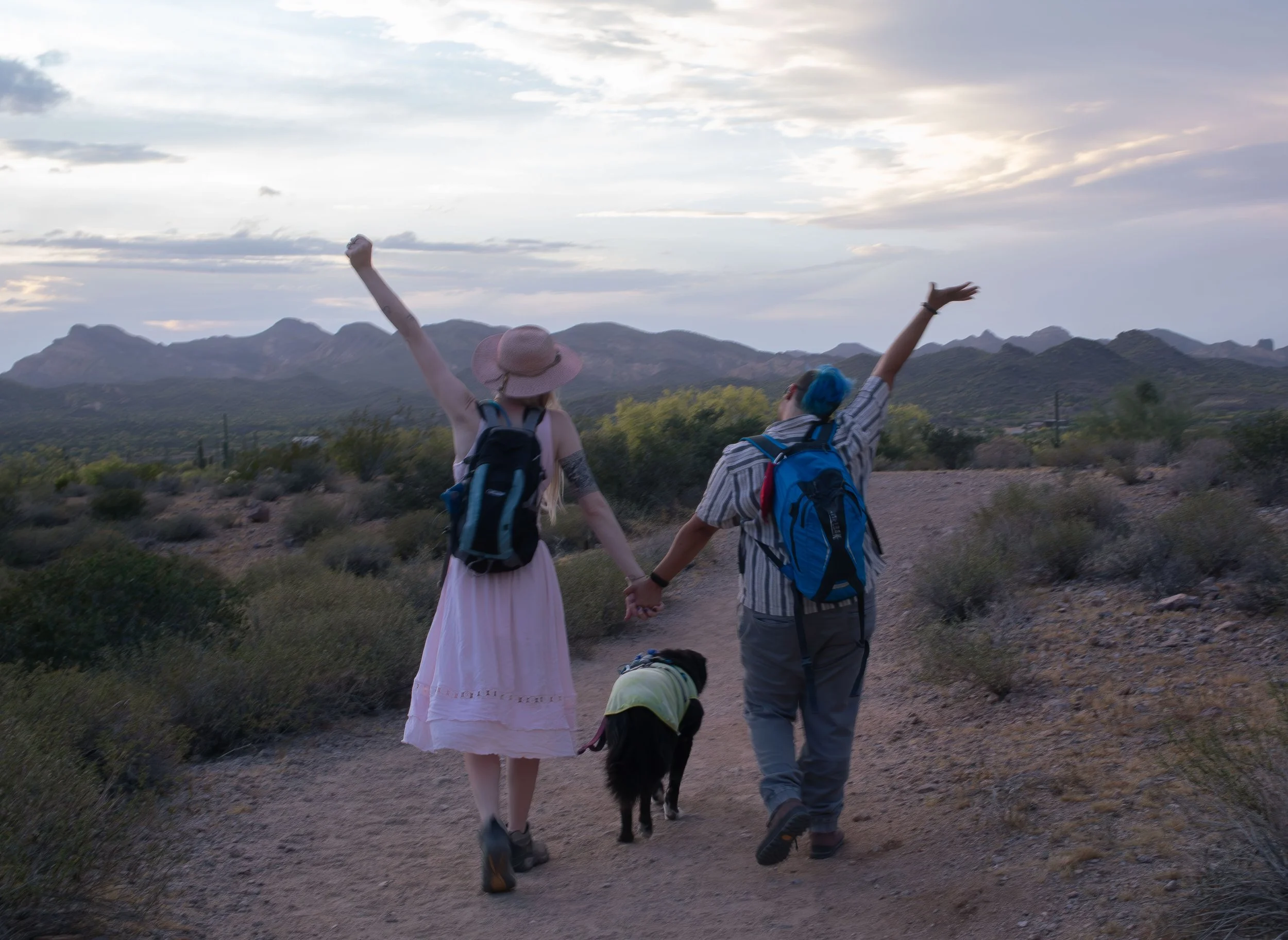 Apache Junction Proposal - S+ O-138.jpg