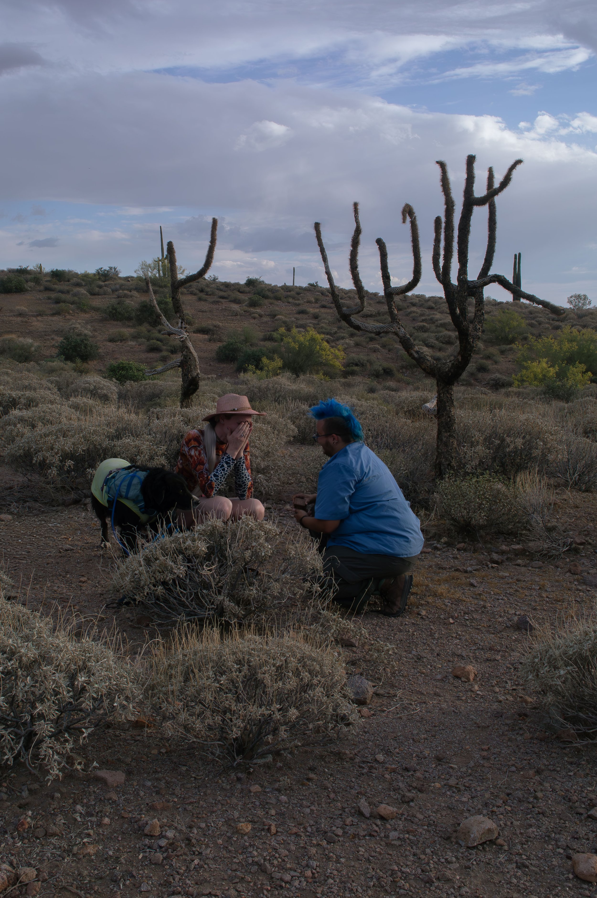 Apache Junction Proposal - S+ O-23.jpg