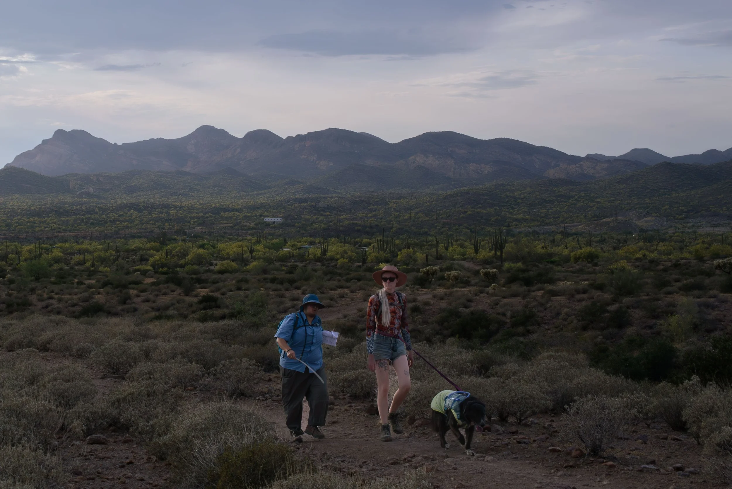 Apache Junction Proposal - S+ O-6.jpg