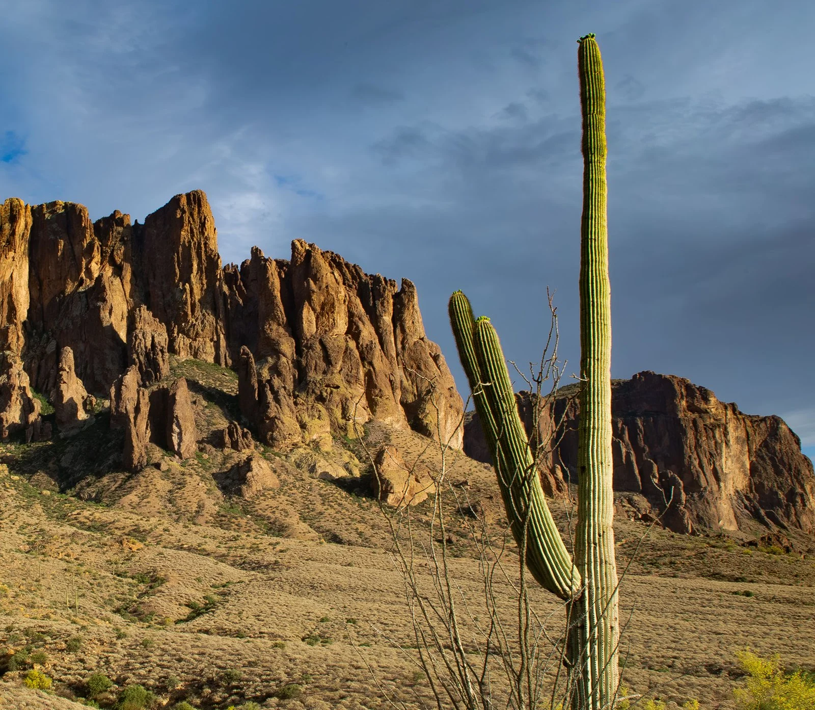 Lost Dutchman Proposal Photography-47.jpg