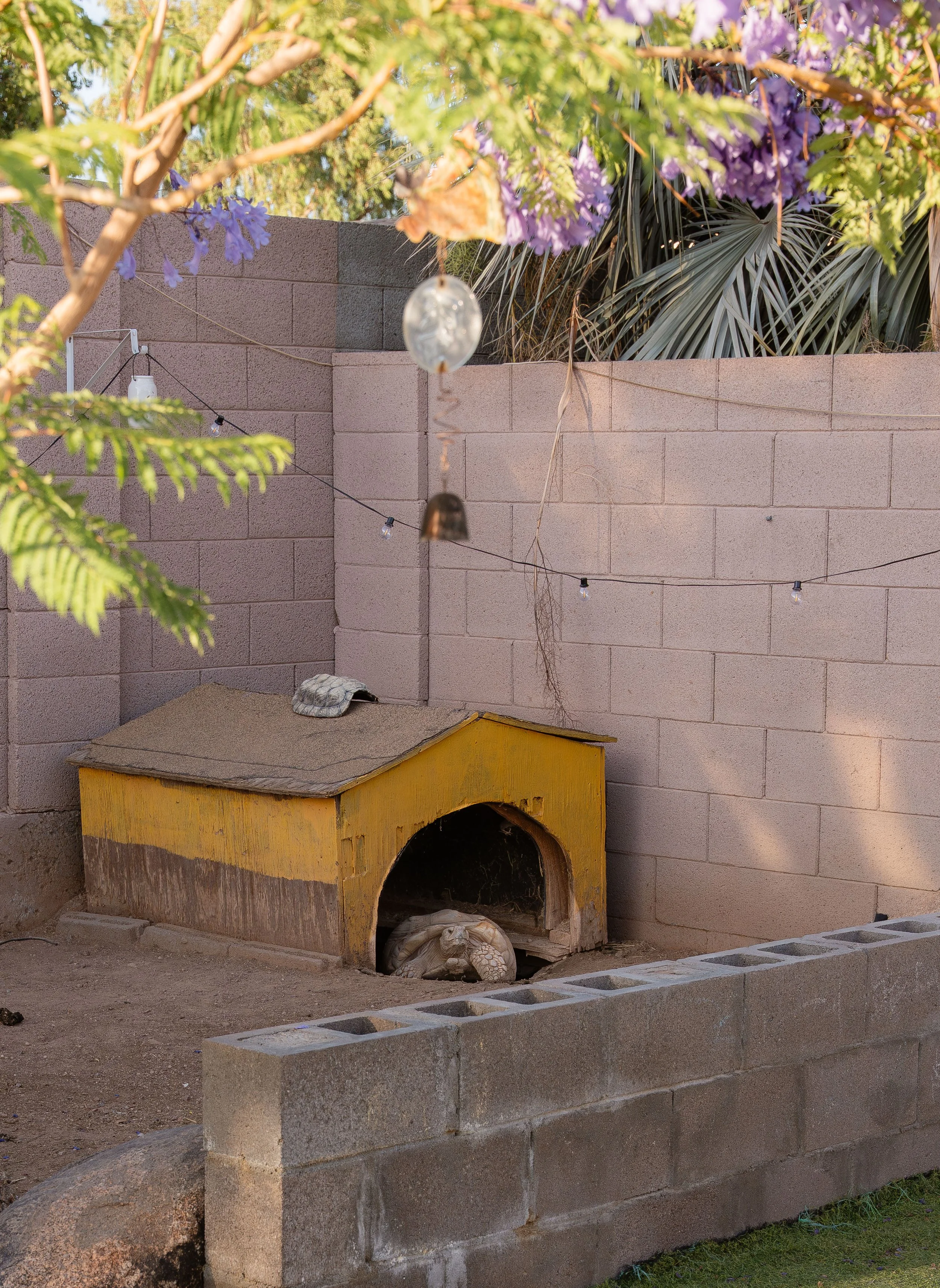 Phoenix Backyard Wedding (H+J)-76.jpg