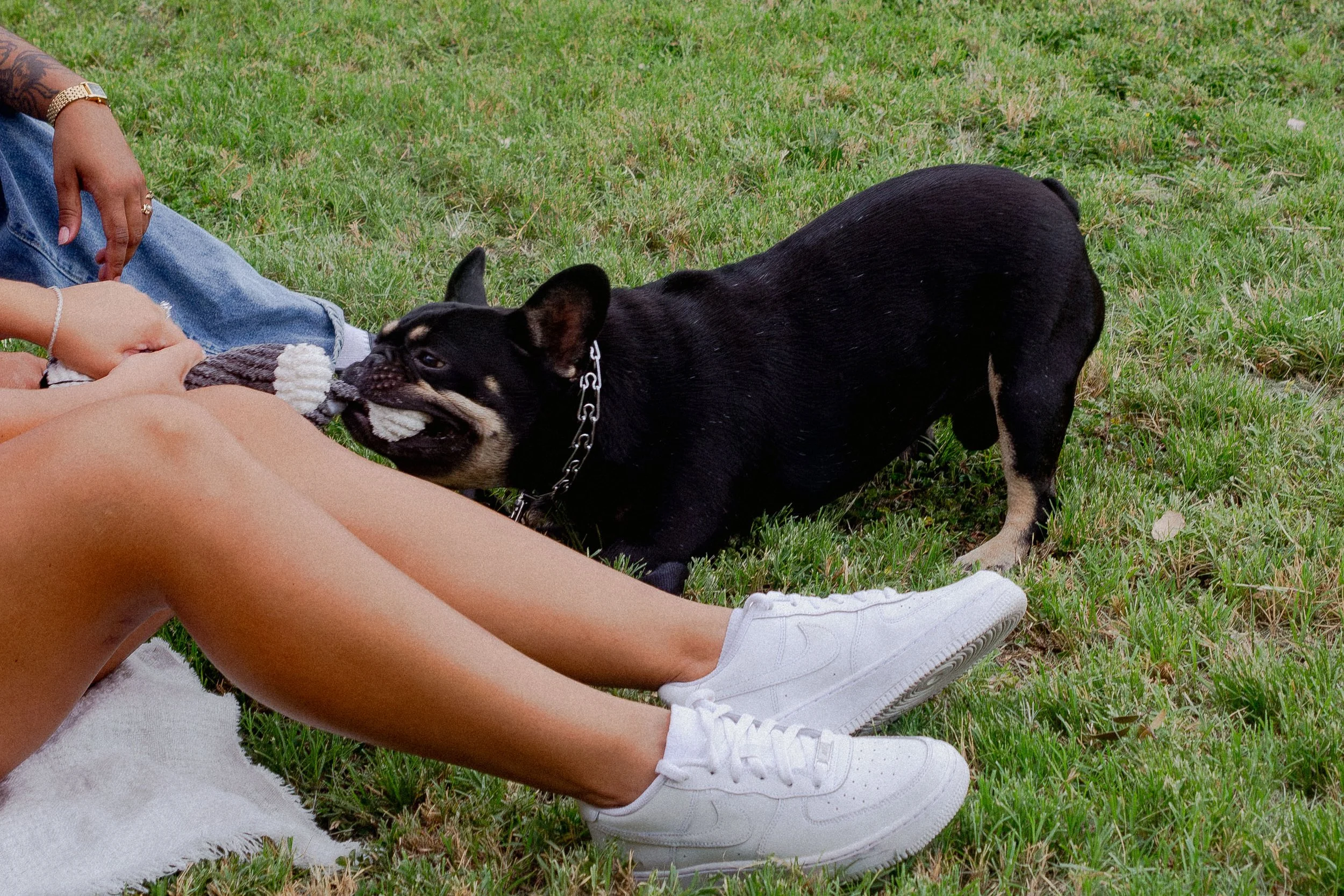 WLW Couple Photos-69.jpg