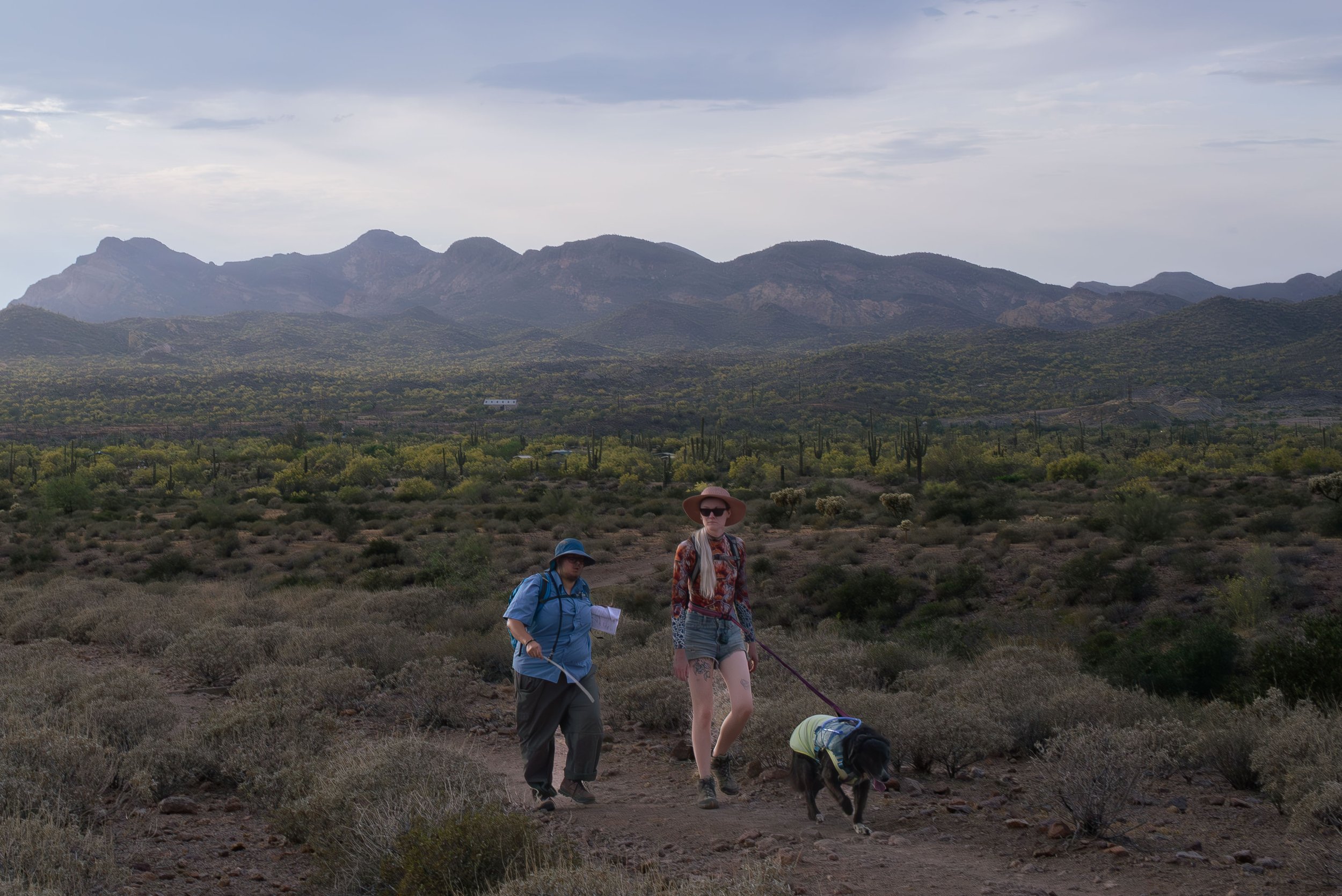 Apache Junction Proposal - S+ O-6.jpg