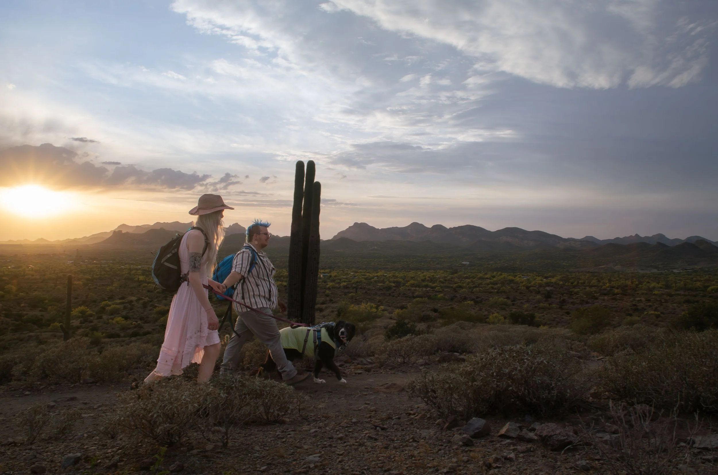 Apache Junction Proposal - S+ O-124.jpg