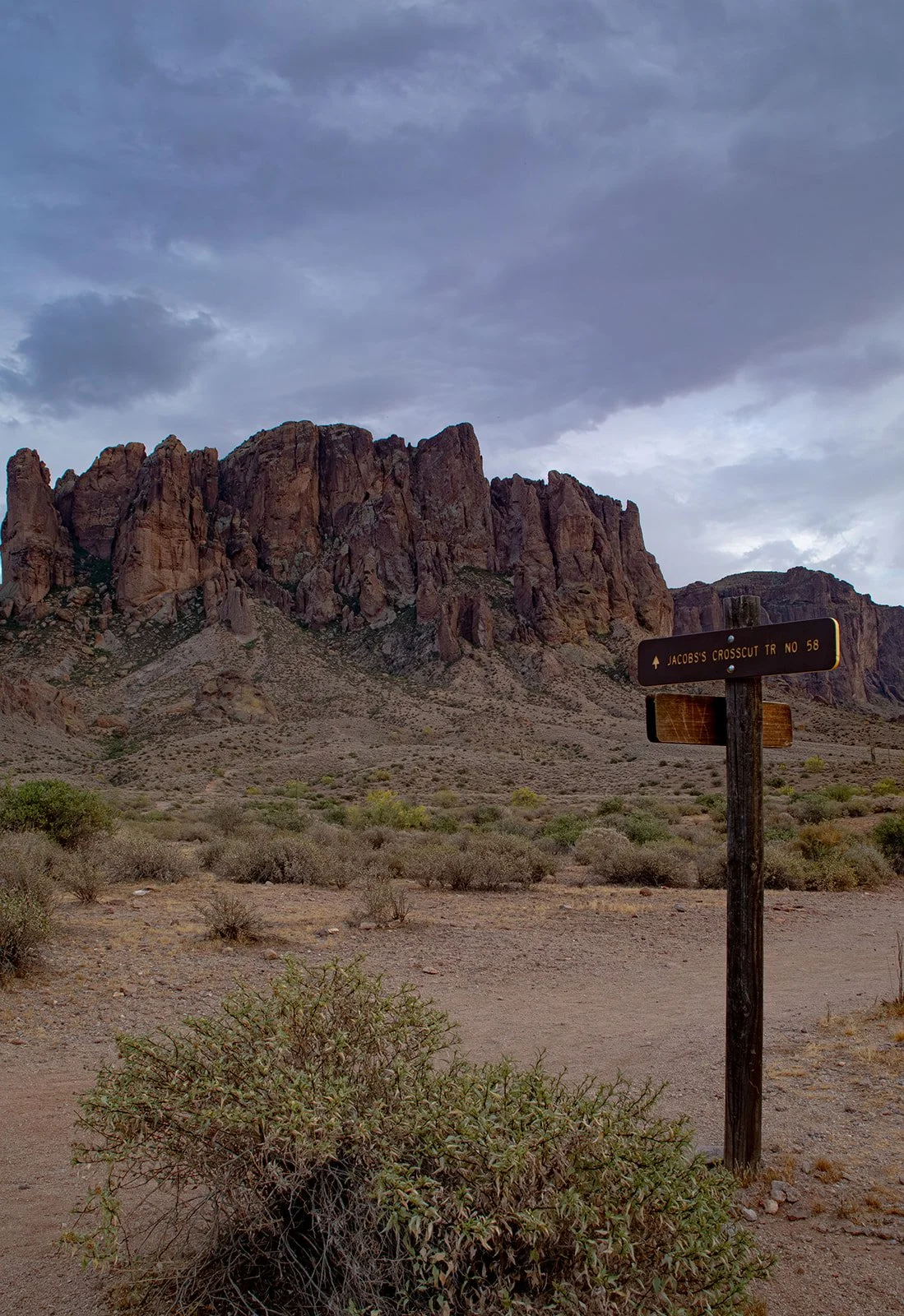Lost Dutchman Proposal Photography-2_websize (1).jpg