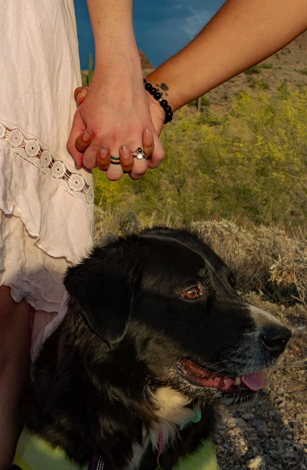 Lost Dutchman Proposal Photography-74.jpg