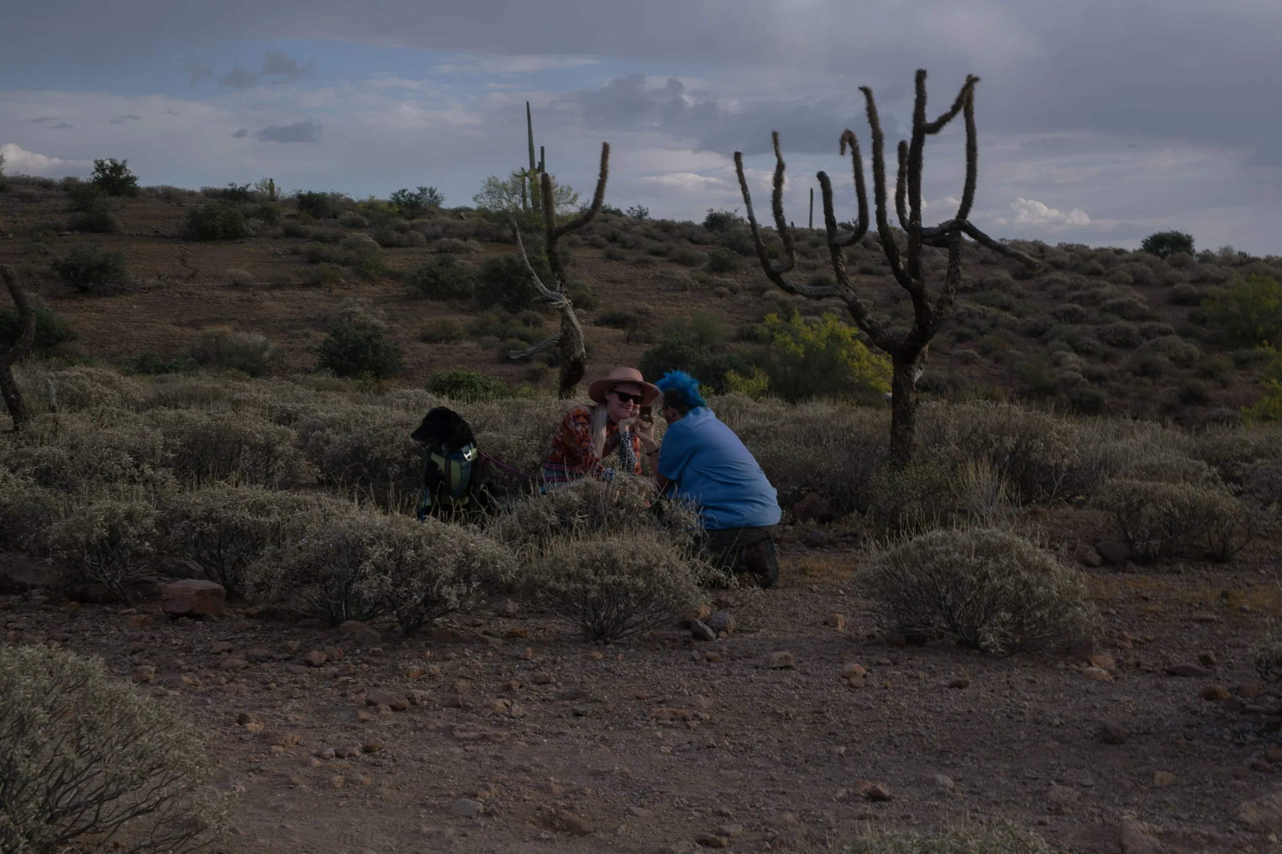 Apache Junction Proposal - S+ O-12.jpg
