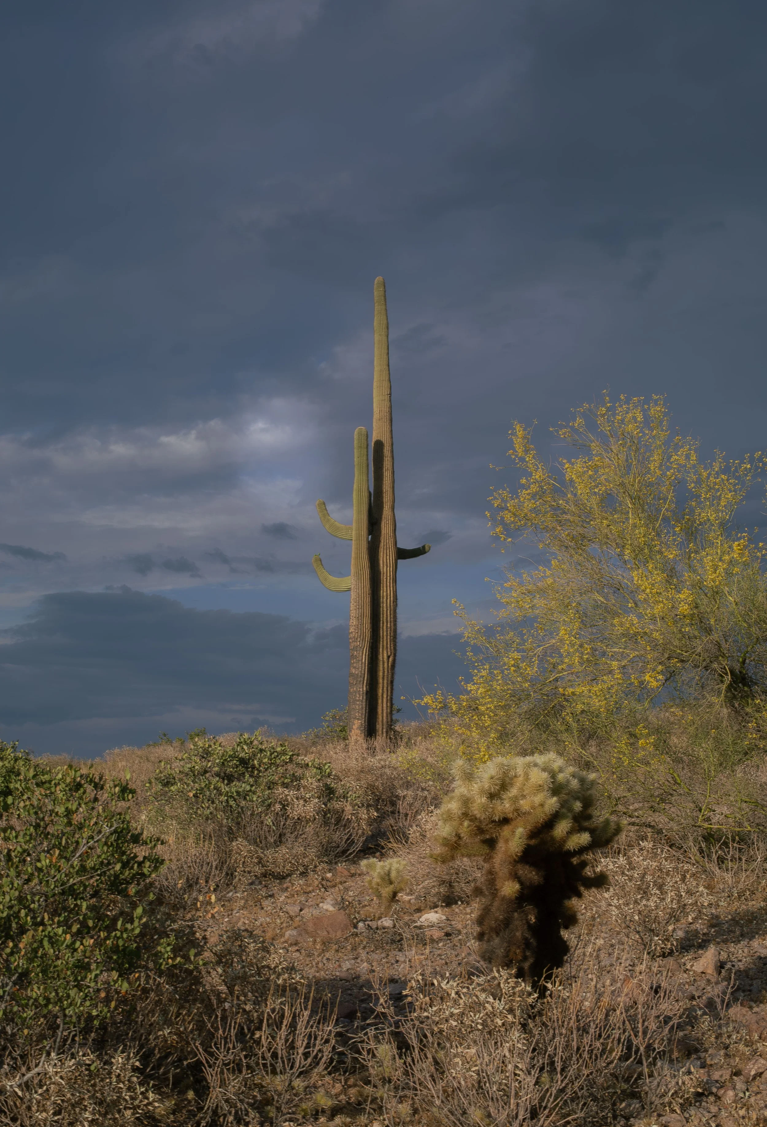 Apache Junction Proposal - S+ O-48.jpg