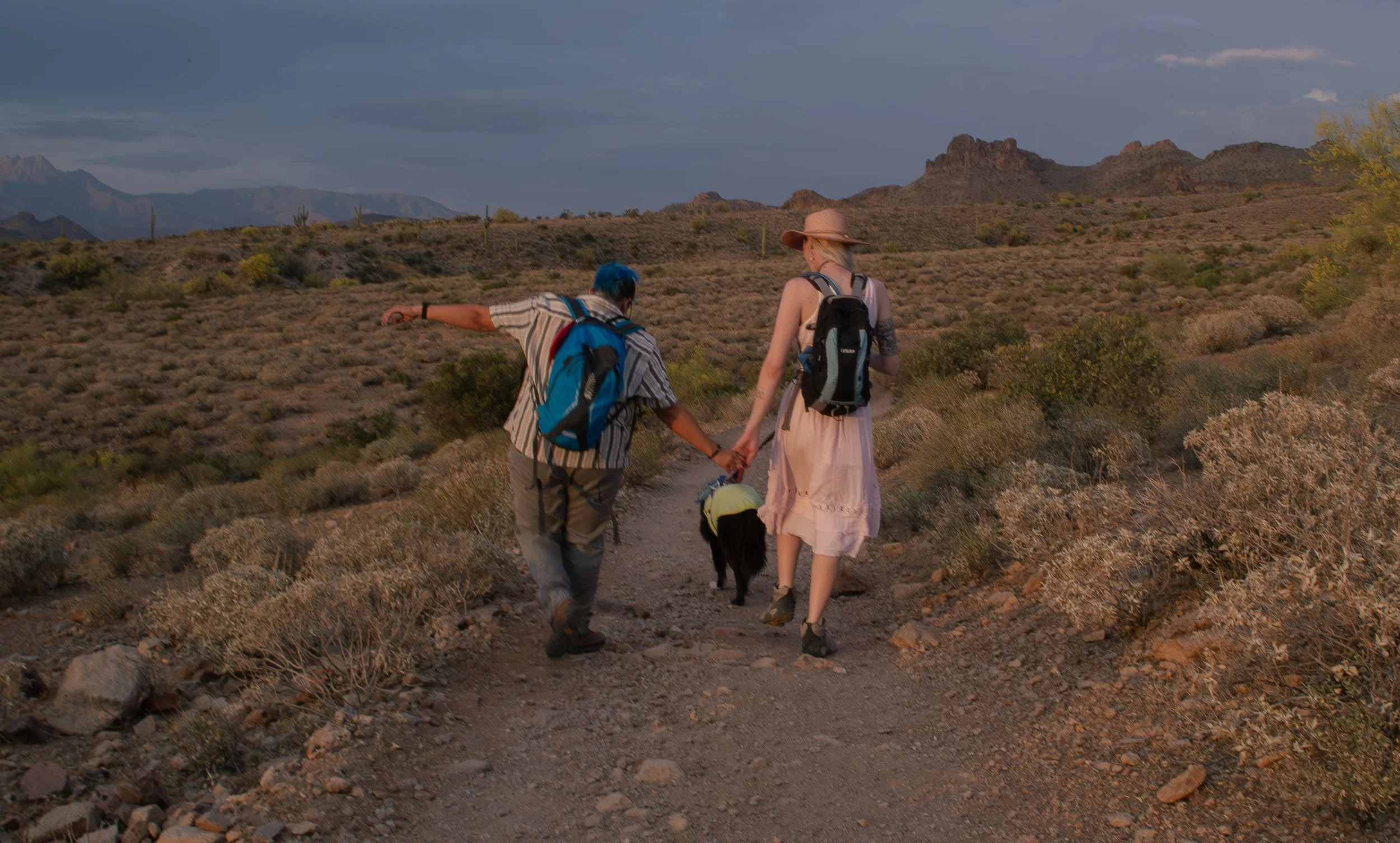 Apache Junction Proposal - S+ O-125.jpg