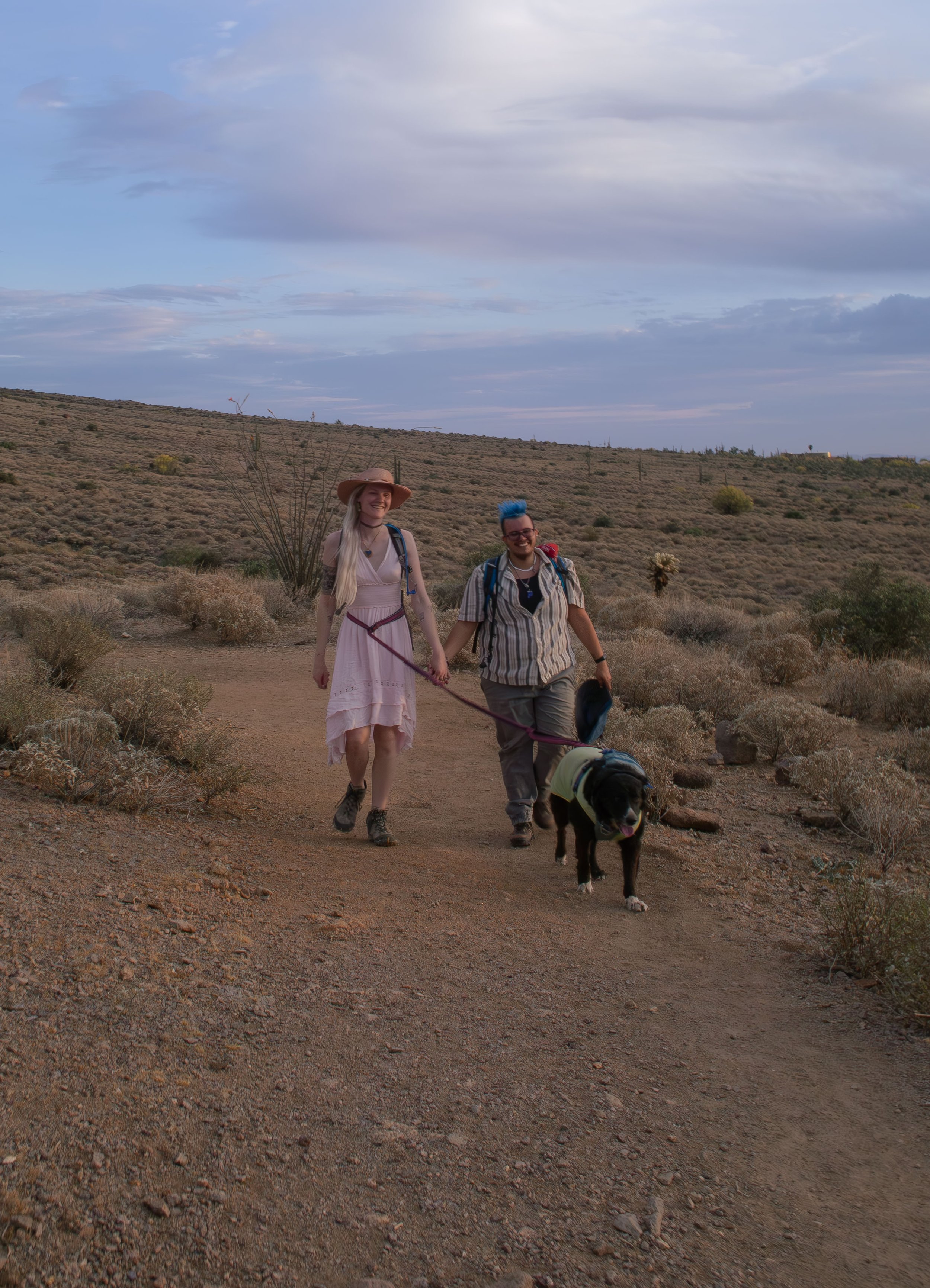 Apache Junction Proposal - S+ O-122.jpg