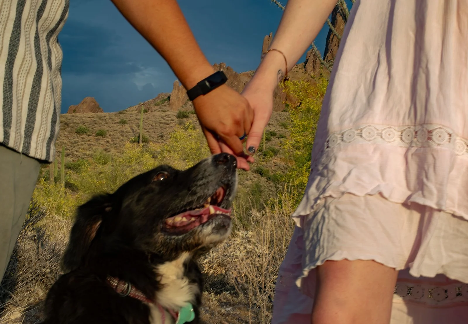 Lost Dutchman Proposal Photography-73.jpg