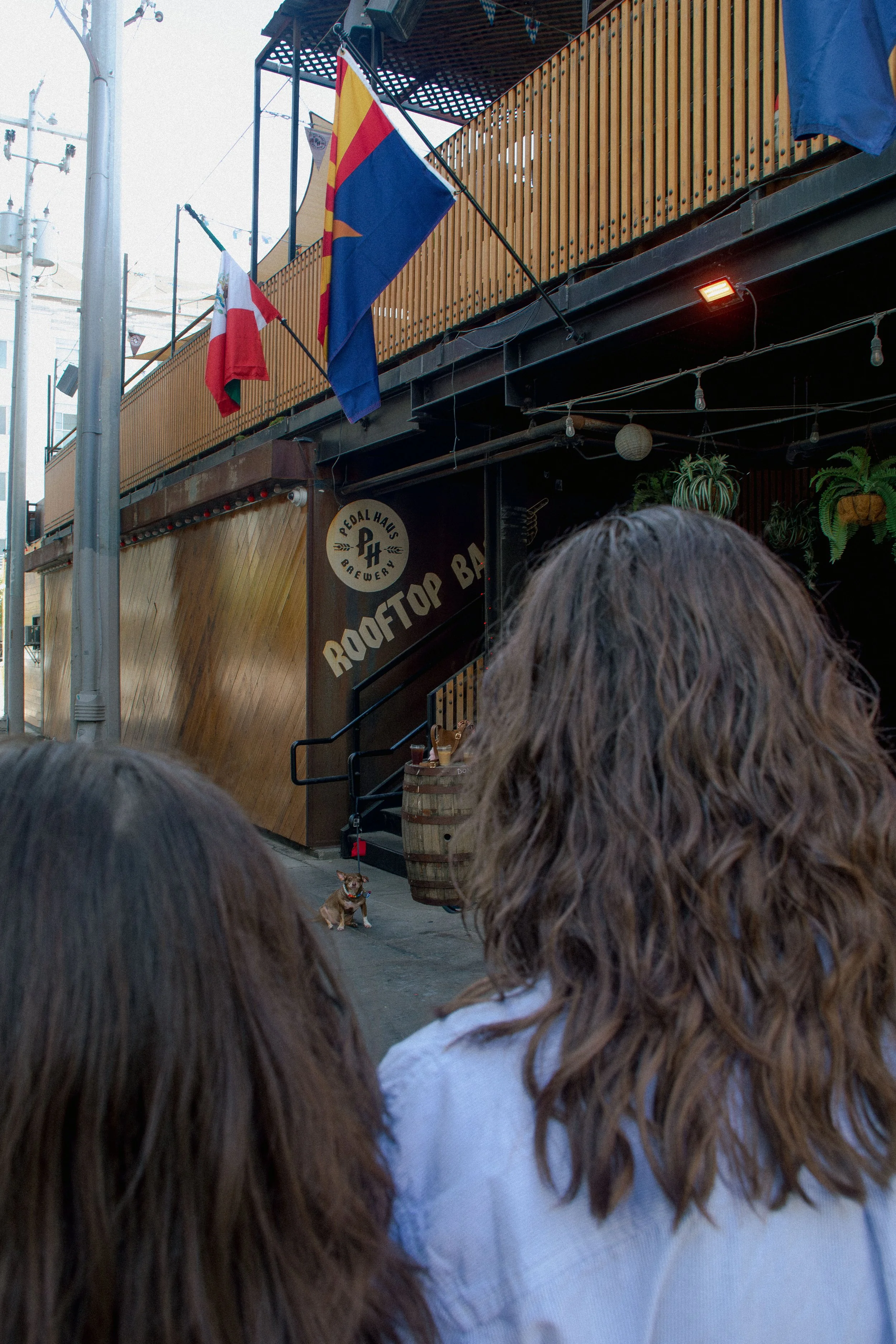 Coffee Shop Queer Engagement - A+J-110.jpg