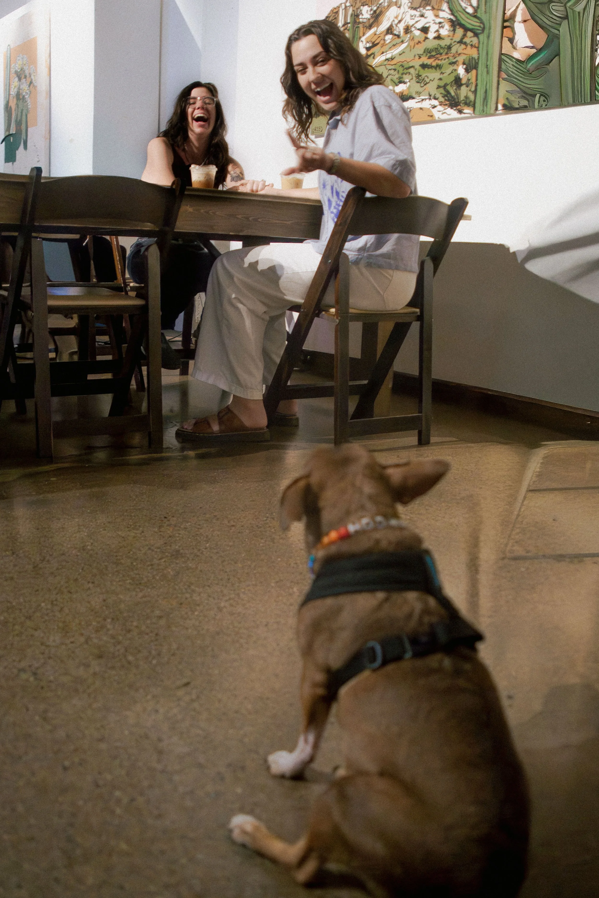 Coffee Shop Queer Engagement - A+J-14.jpg