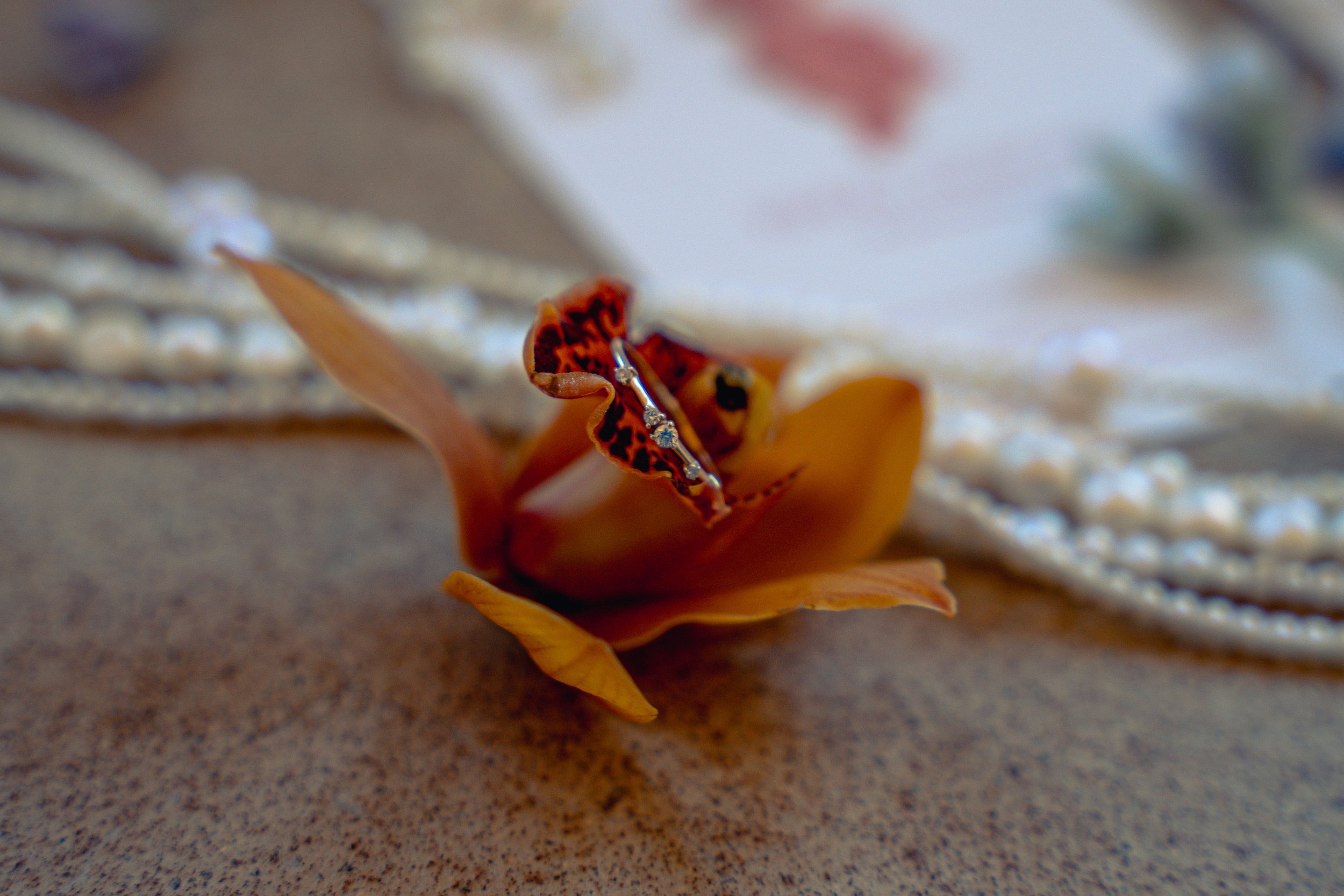 Arizona Wedding Photographer Jerome Queer-10.jpg