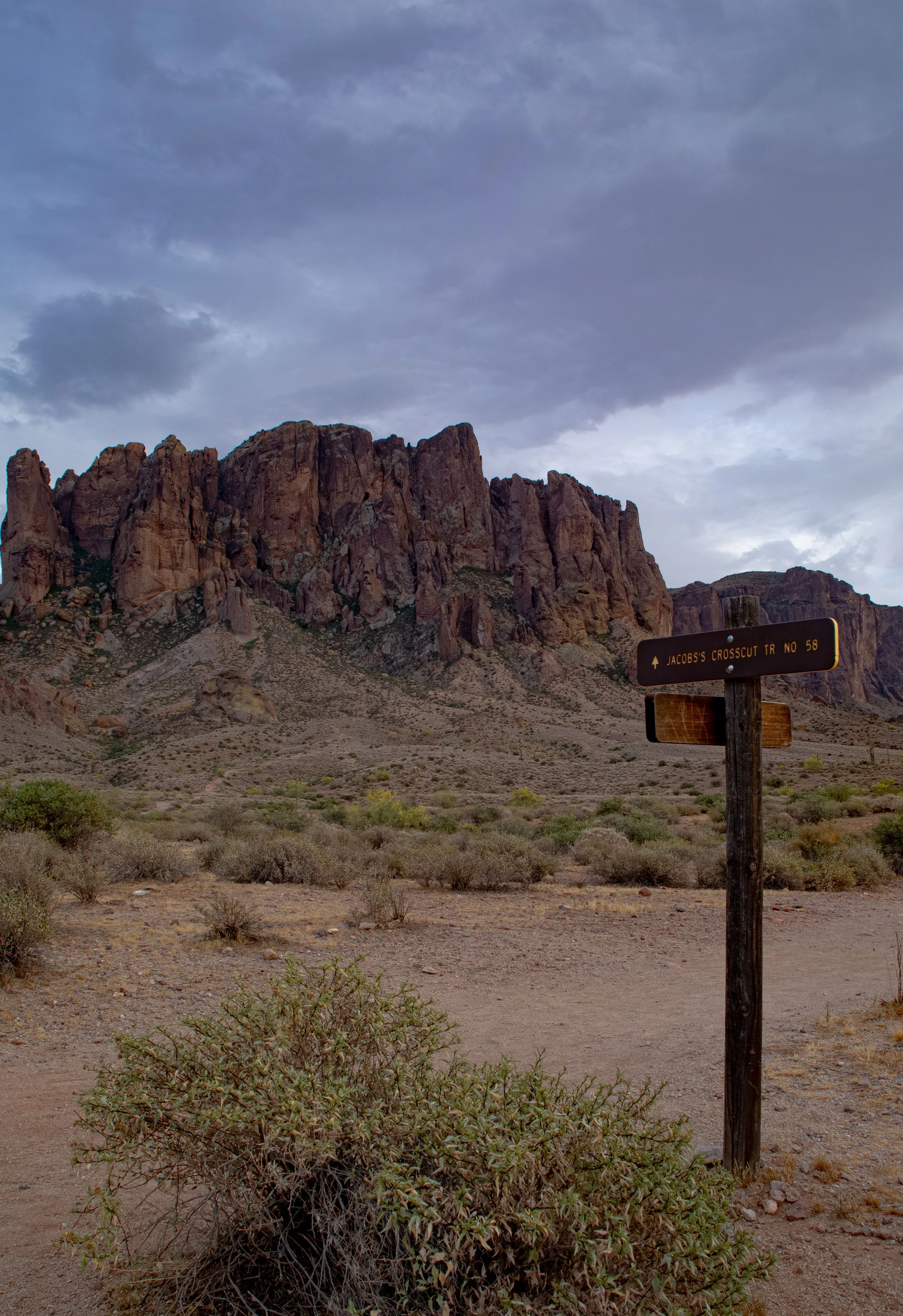 Lost Dutchman Proposal Photography-2.jpg