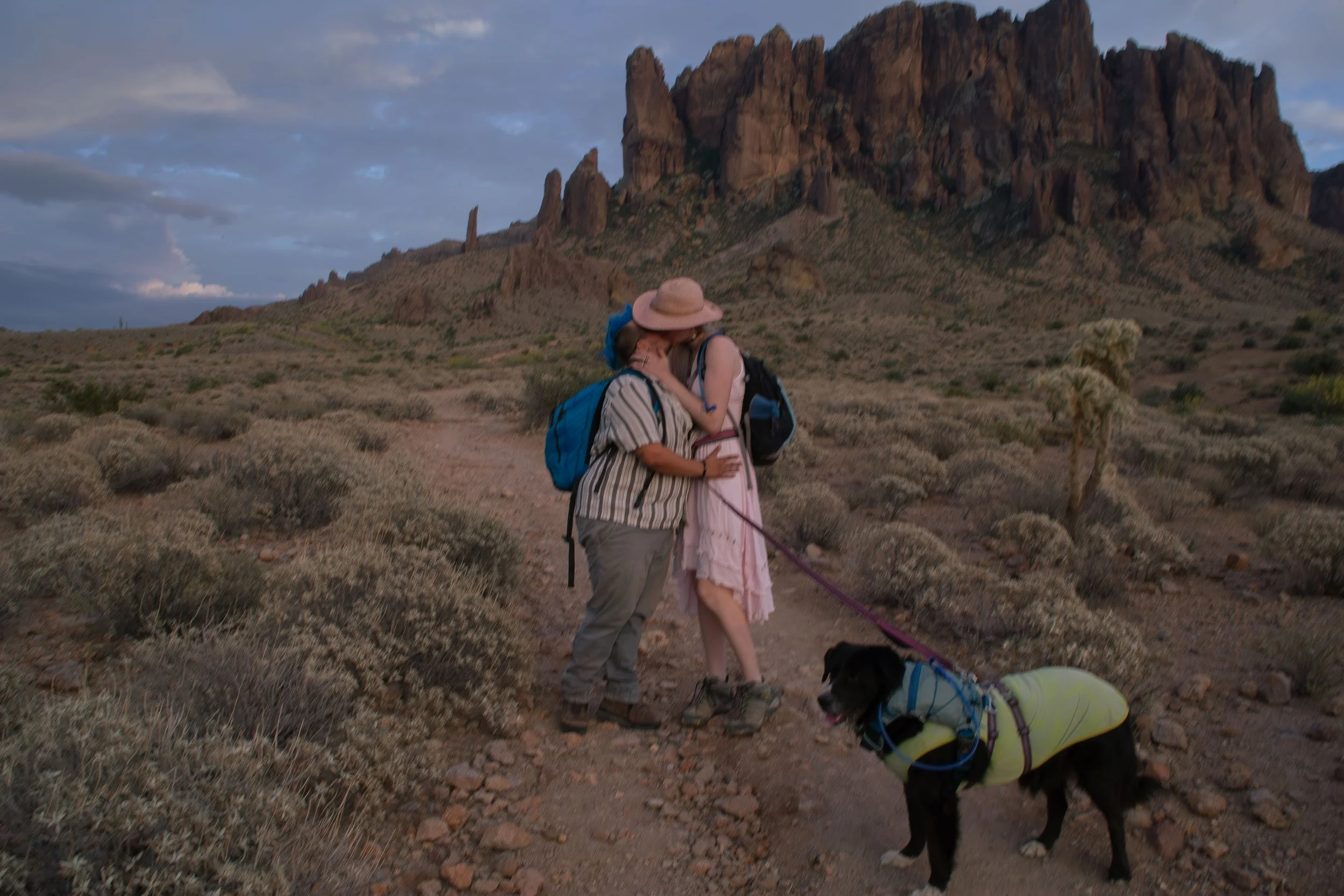 Apache Junction Proposal - S+ O-131.jpg