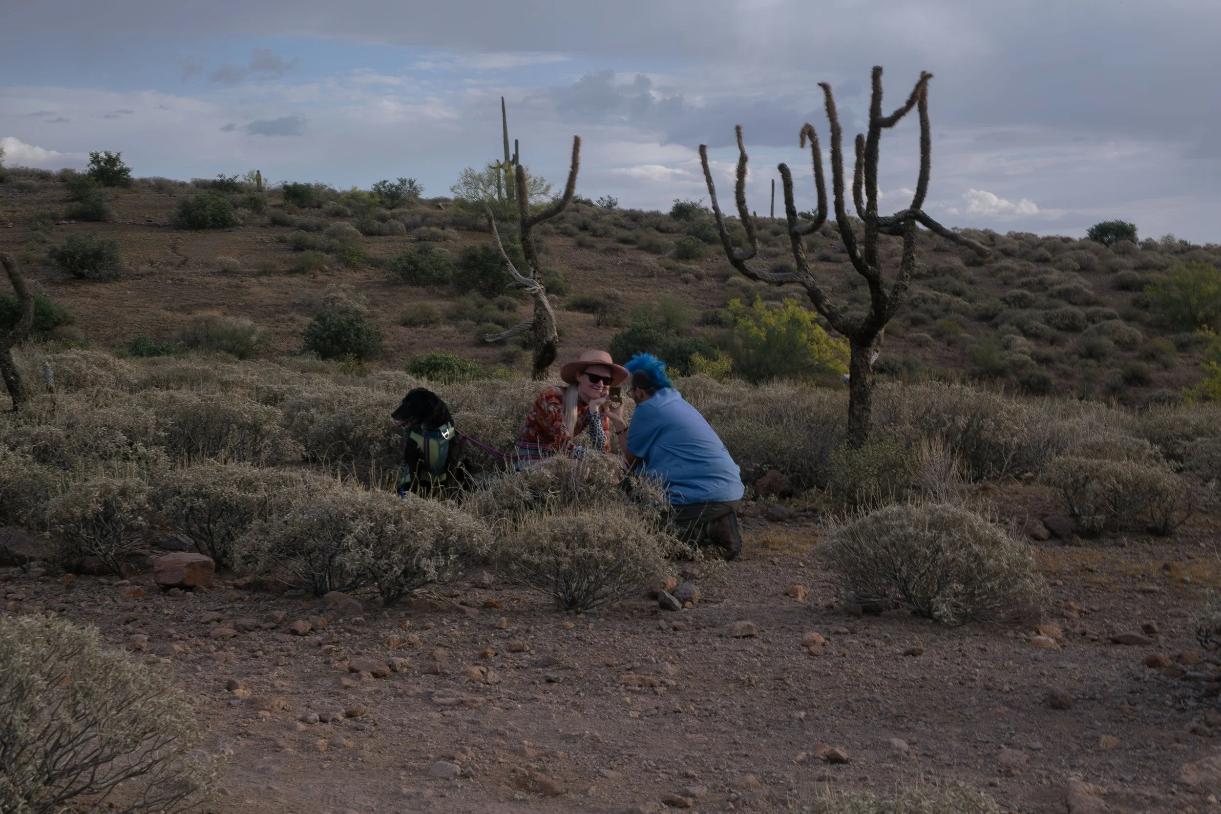 Apache Junction Proposal - S+ O-12.jpg