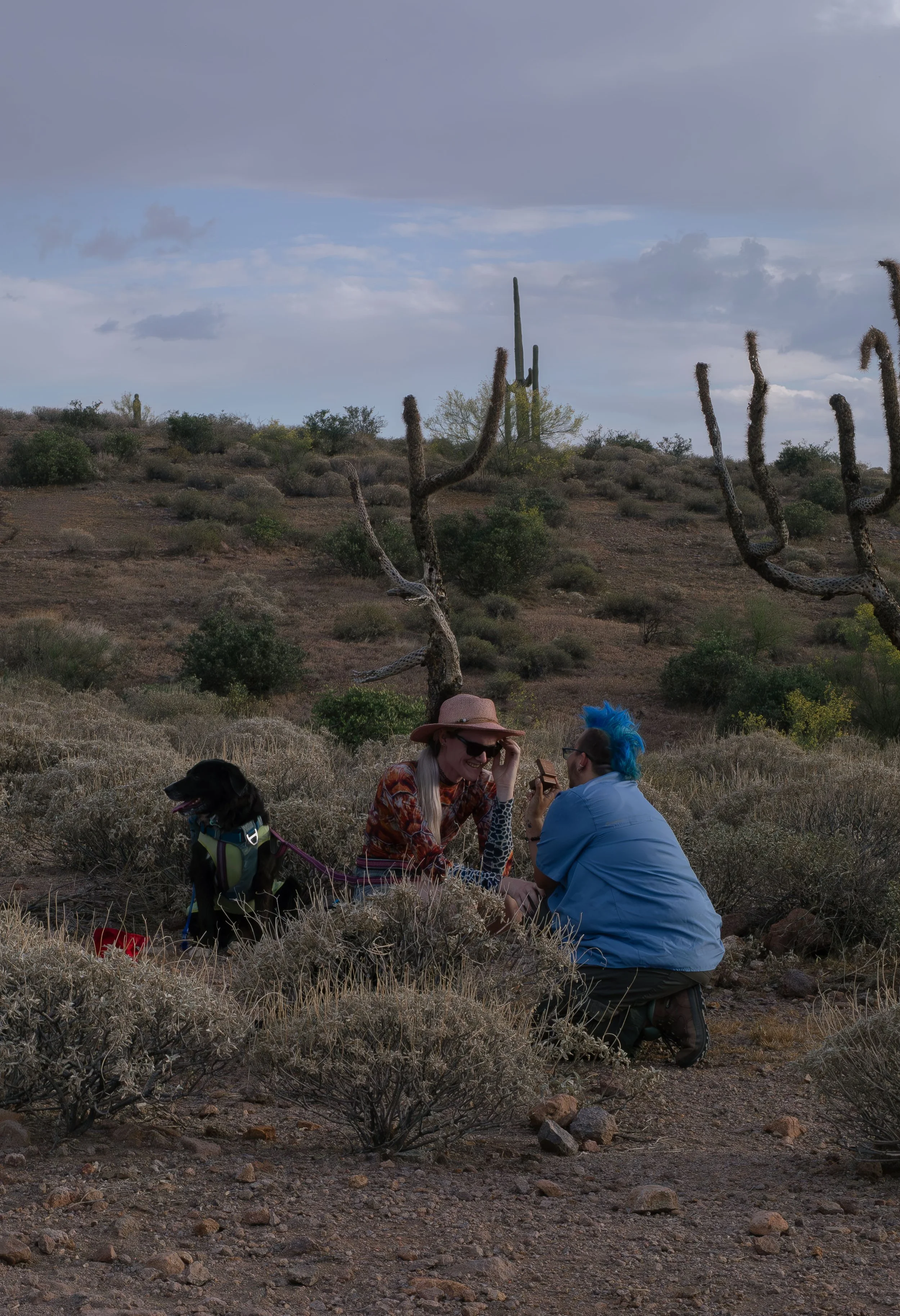 Apache Junction Proposal - S+ O-13.jpg