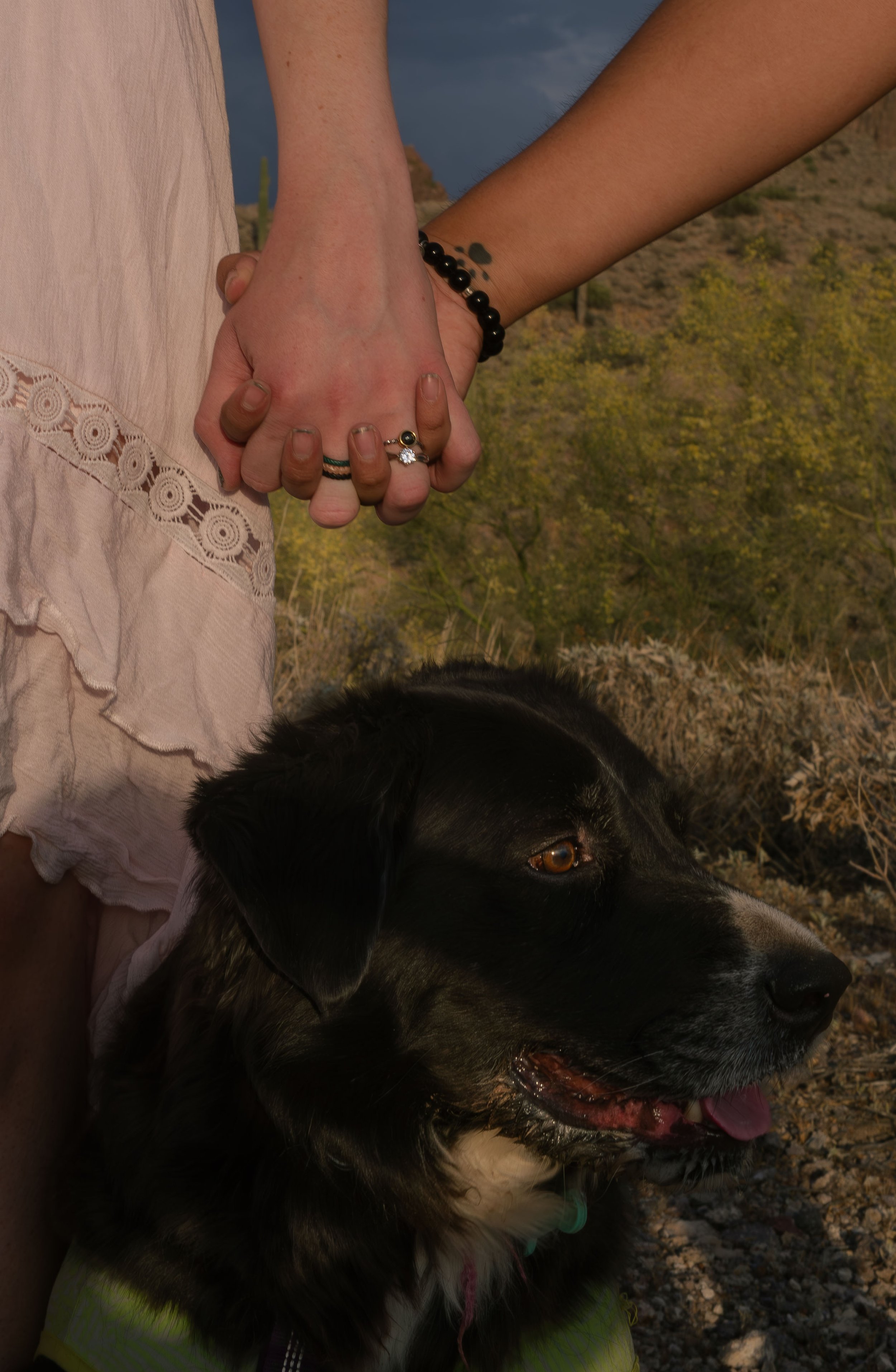 Apache Junction Proposal - S+ O-75.jpg