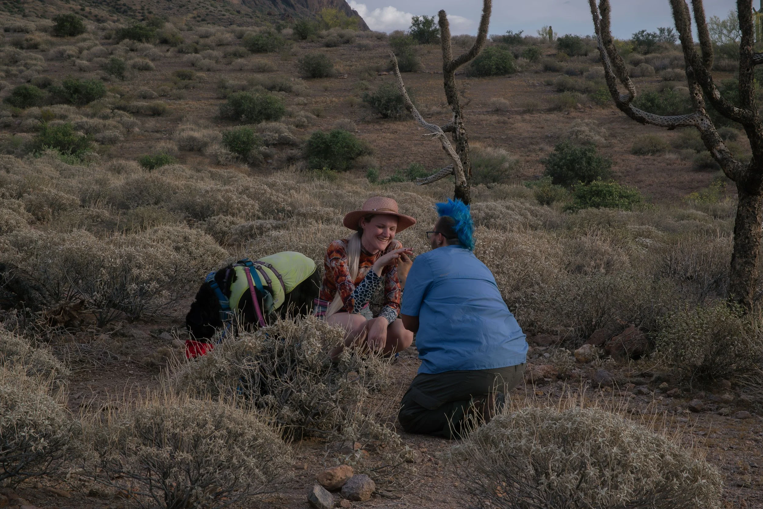Apache Junction Proposal - S+ O-21.jpg