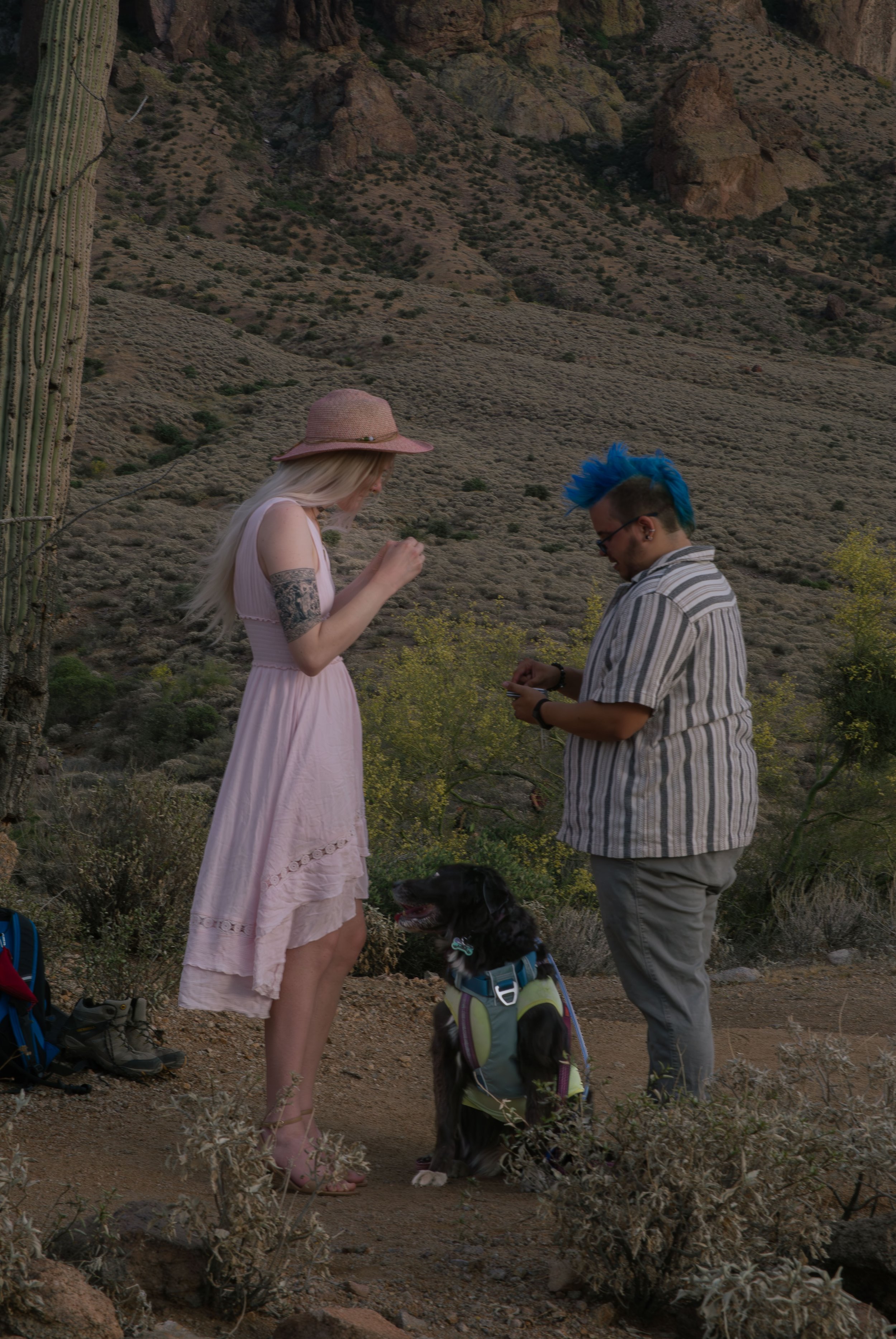 Apache Junction Proposal - S+ O-49.jpg
