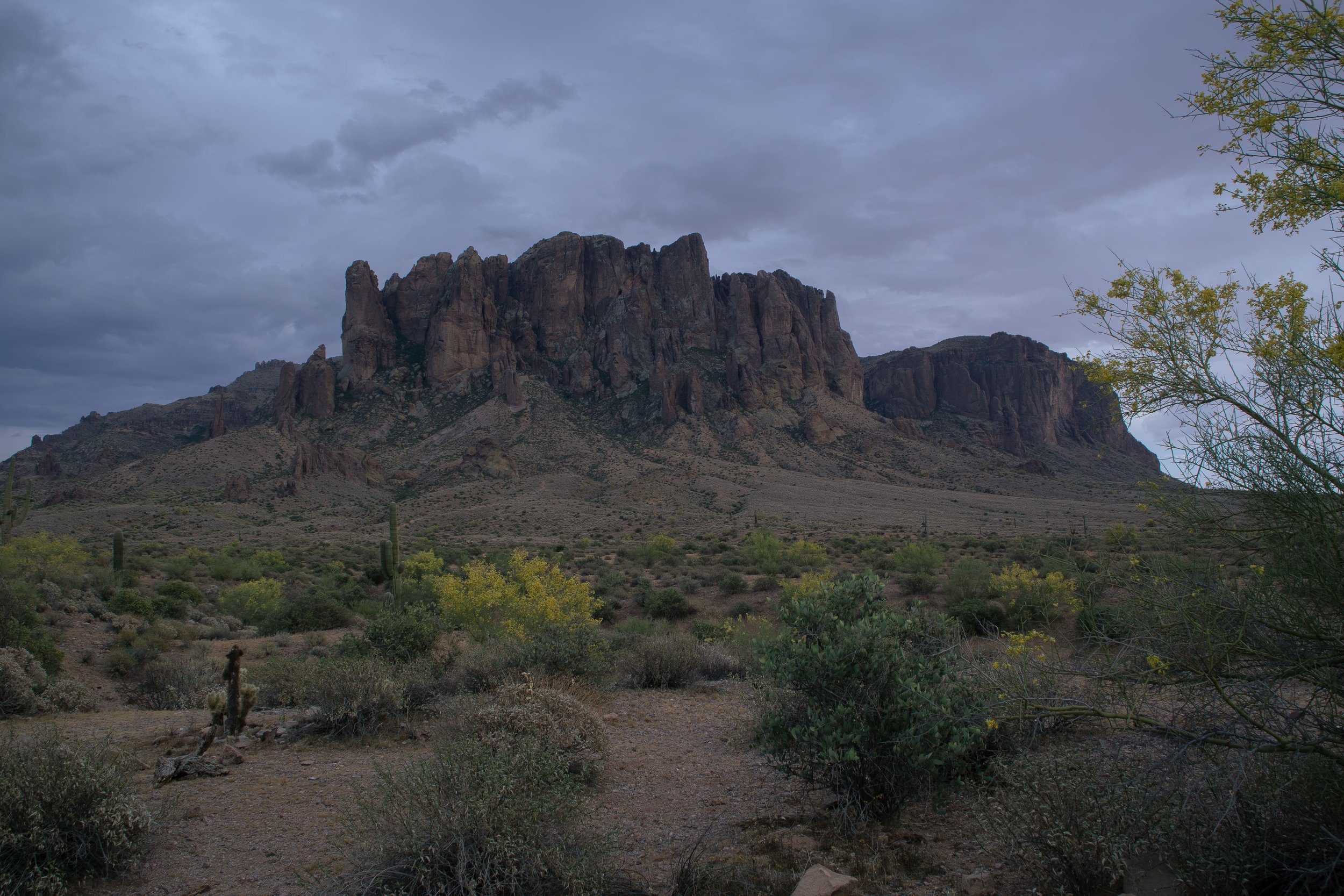 Apache Junction Proposal - S+ O.jpg