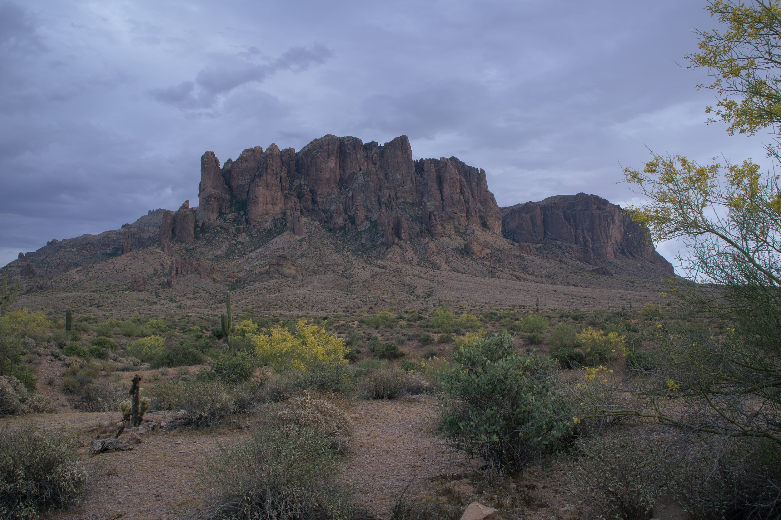 Apache Junction Proposal - S+ O.jpg
