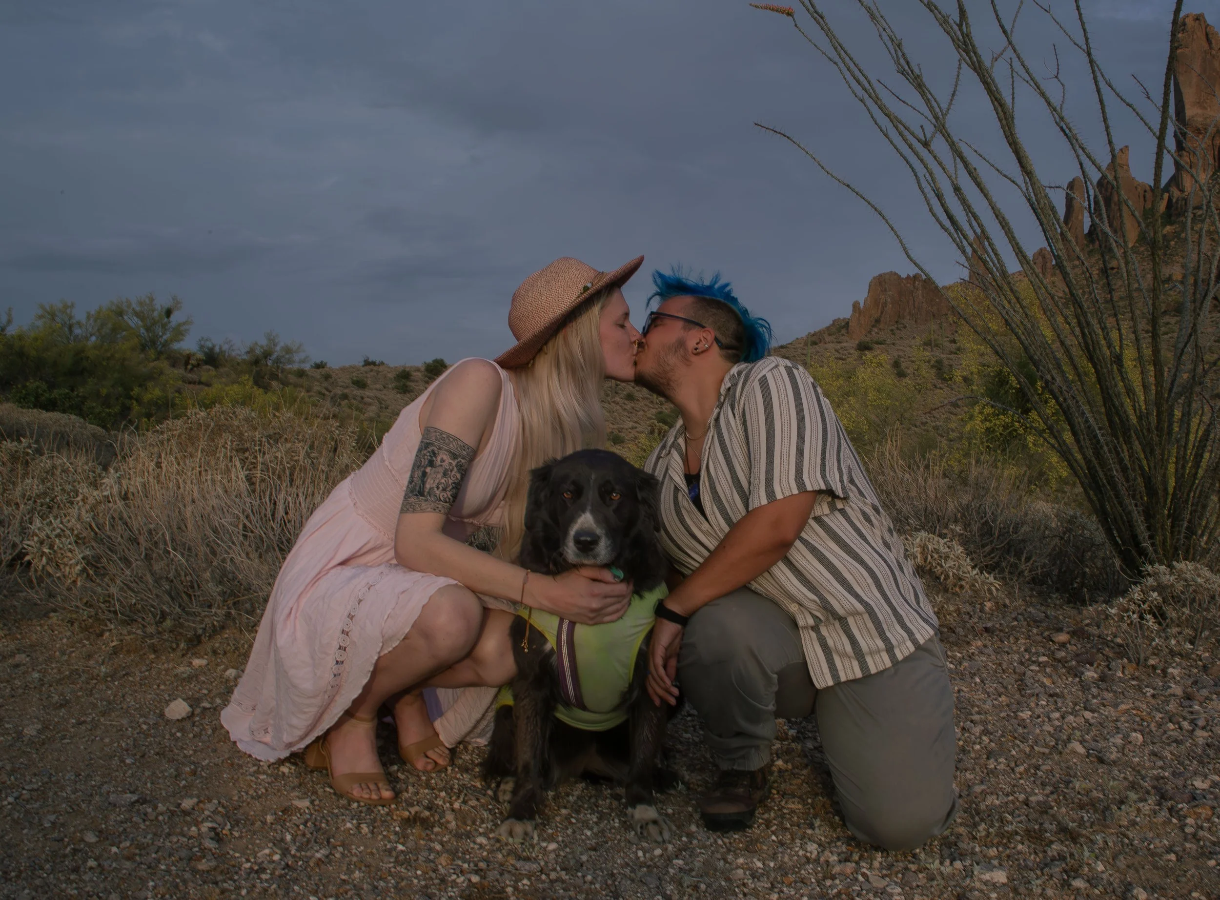Apache Junction Proposal - S+ O-95.jpg