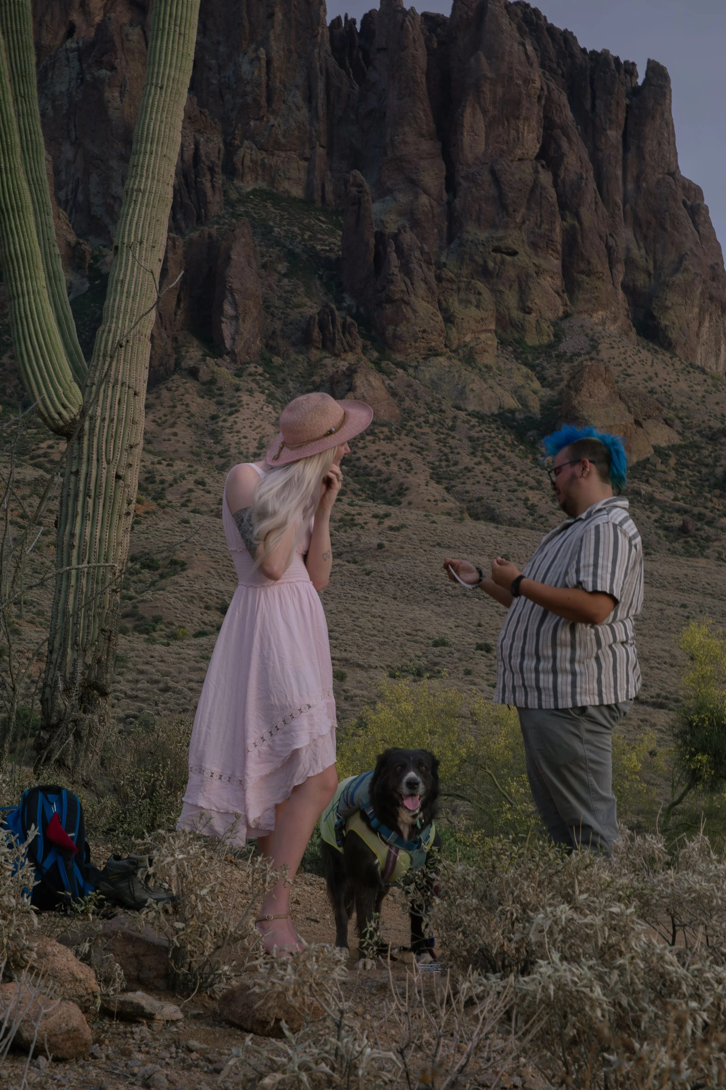 Apache Junction Proposal - S+ O-50.jpg