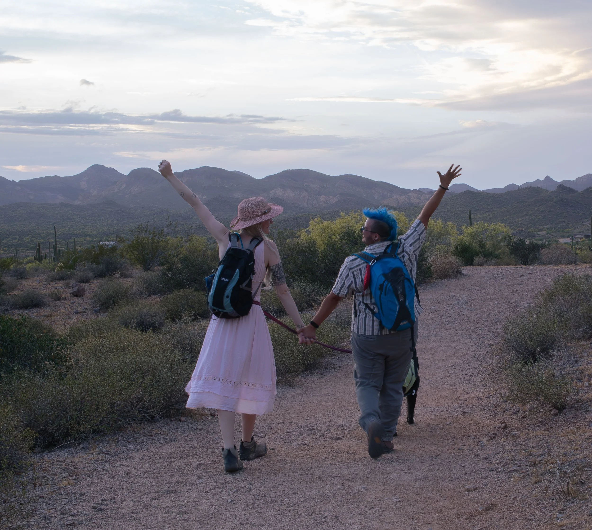 Apache Junction Proposal - S+ O-139.jpg