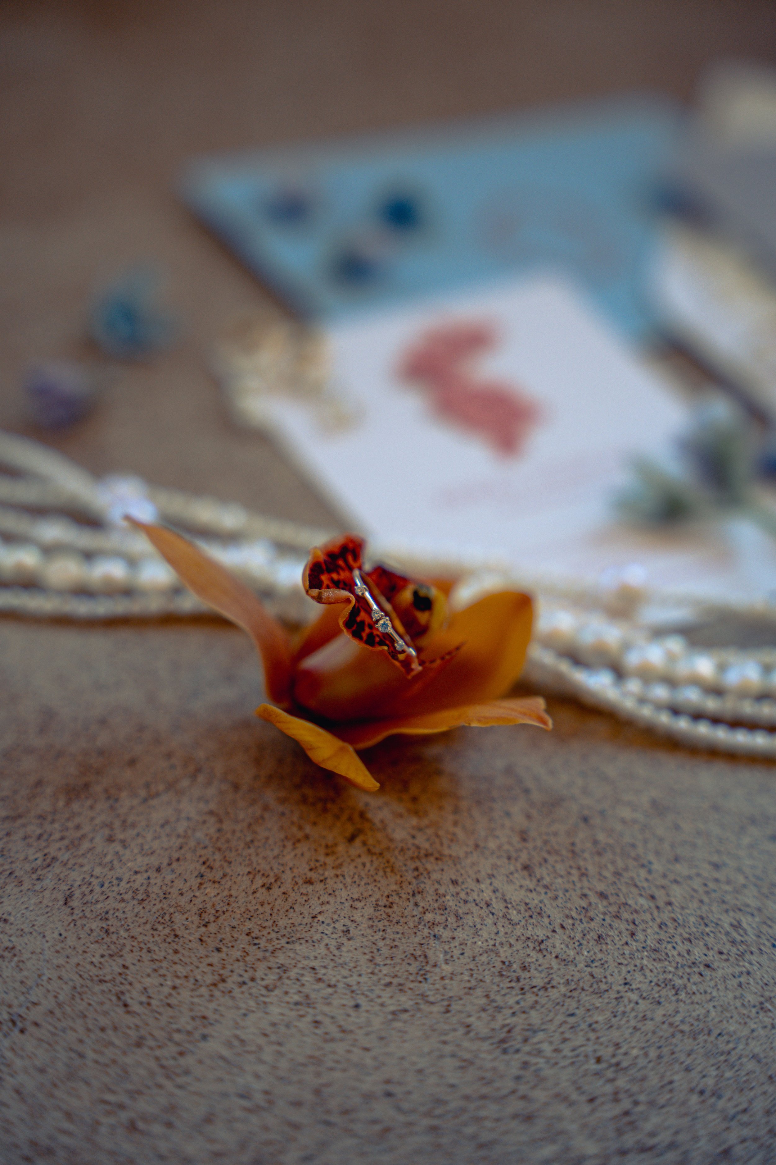 Arizona Wedding Photographer Jerome Queer-11.jpg