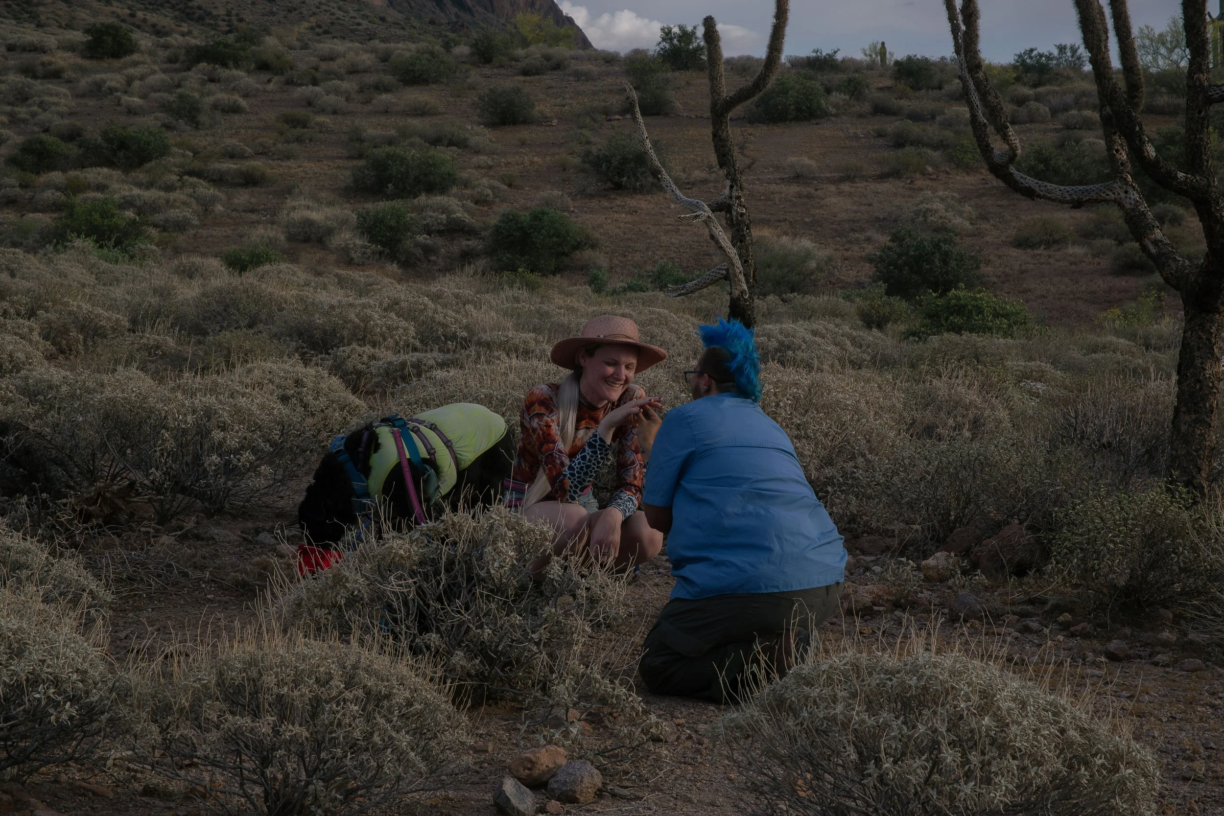 Apache Junction Proposal - S+ O-21.jpg