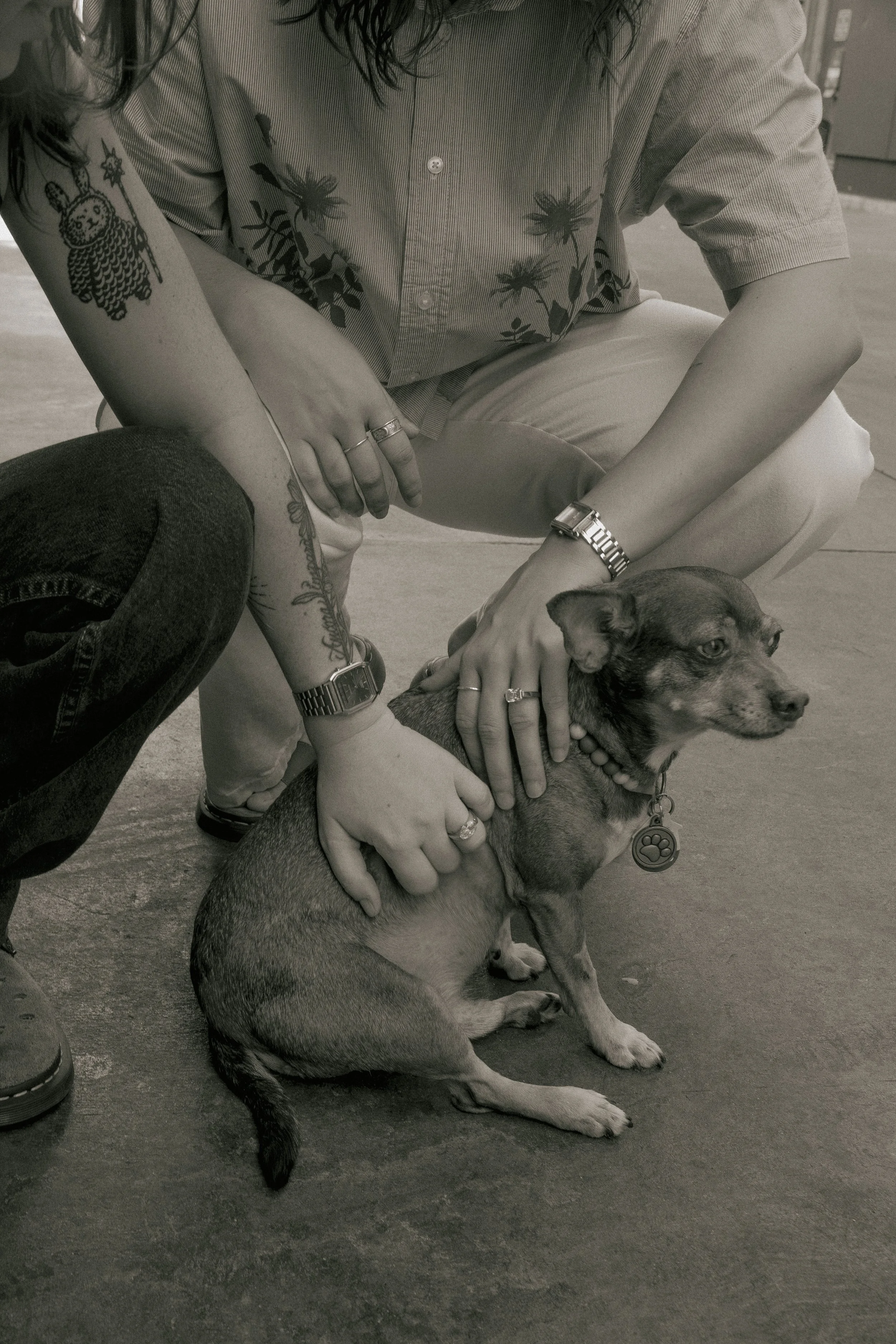 Coffee Shop Queer Engagement - A+J-113.jpg