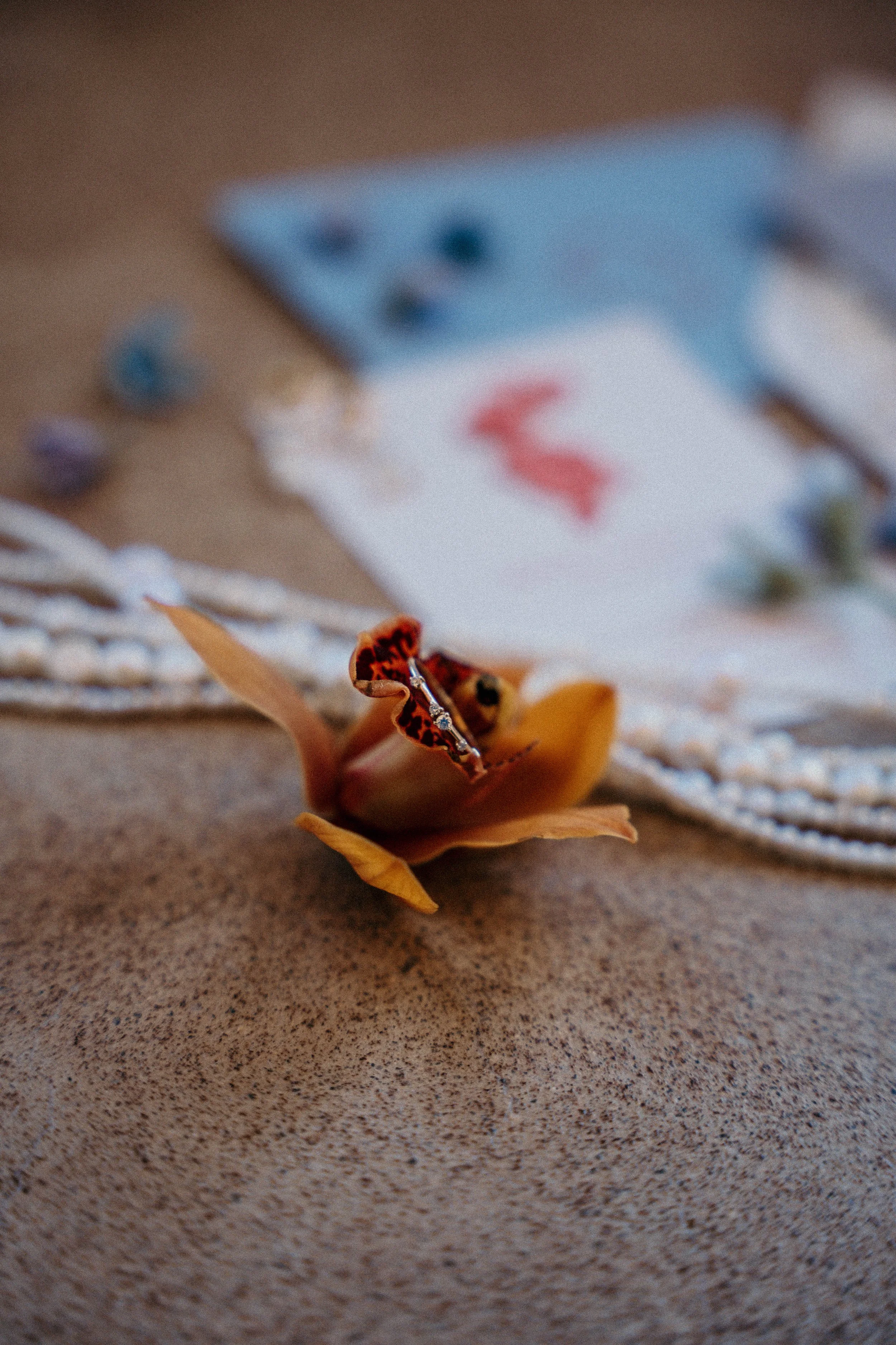 azweddingphotos-11.jpg