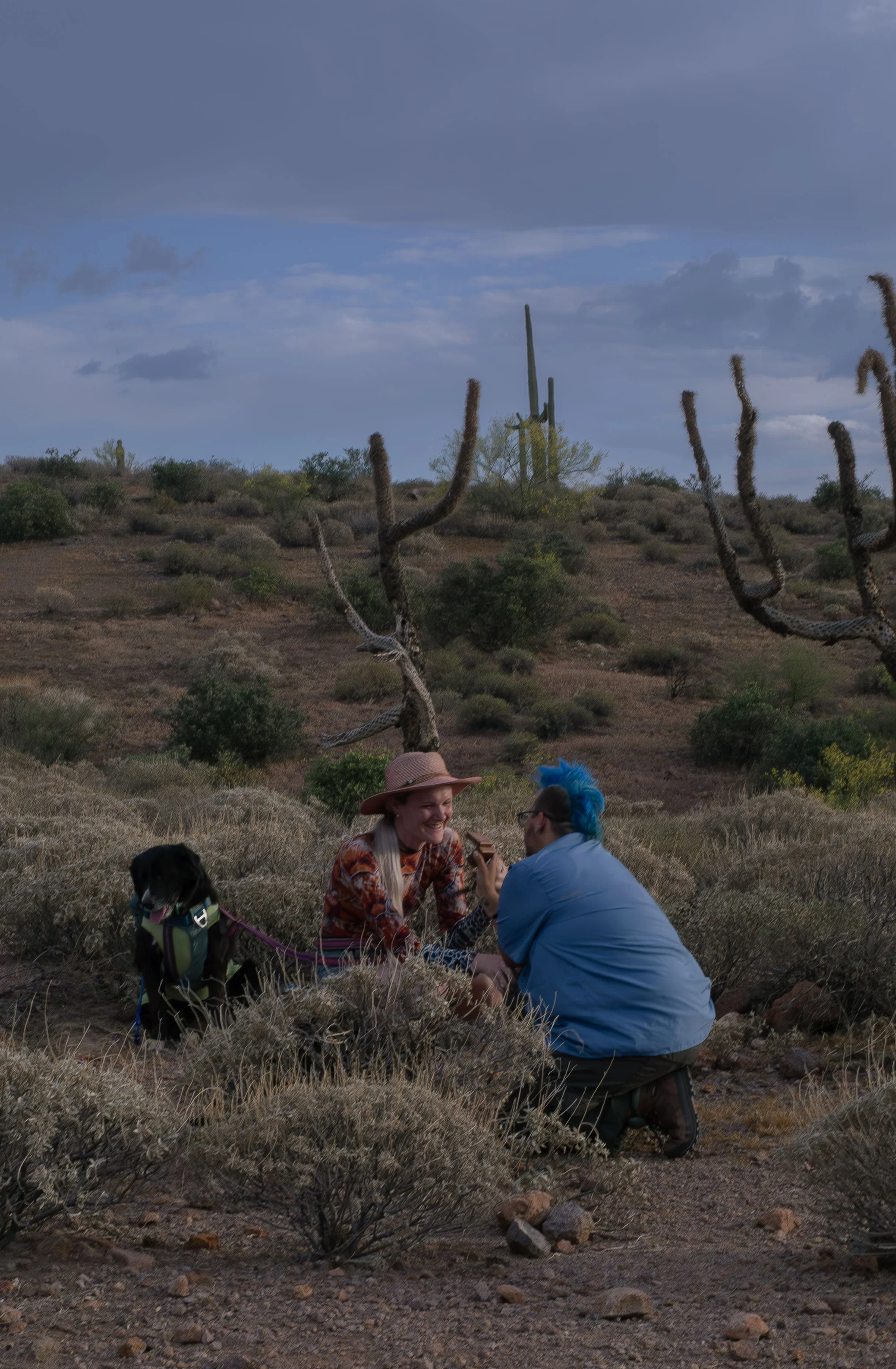 Apache Junction Proposal - S+ O-14.jpg