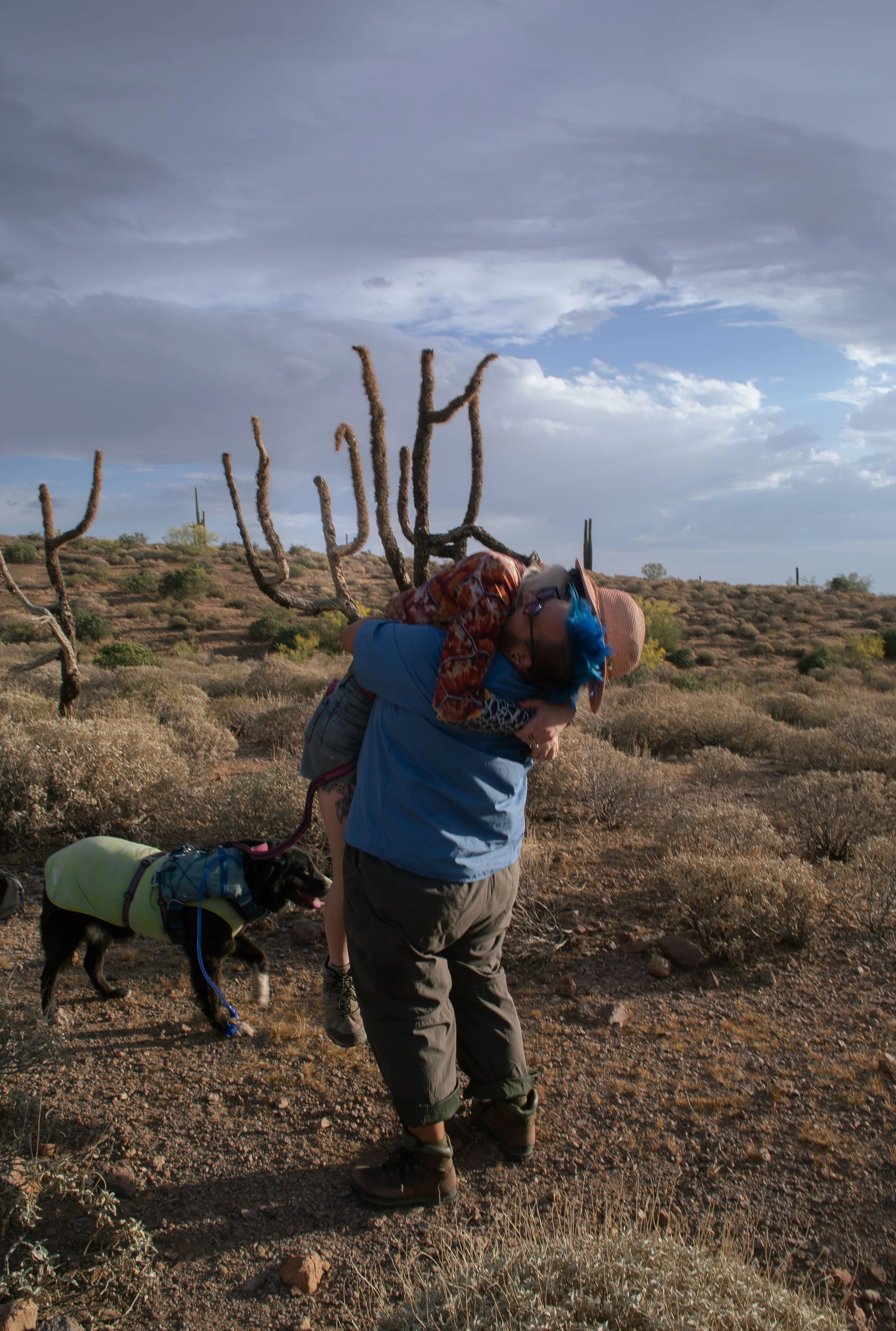 Apache Junction Proposal - S+ O-32.jpg